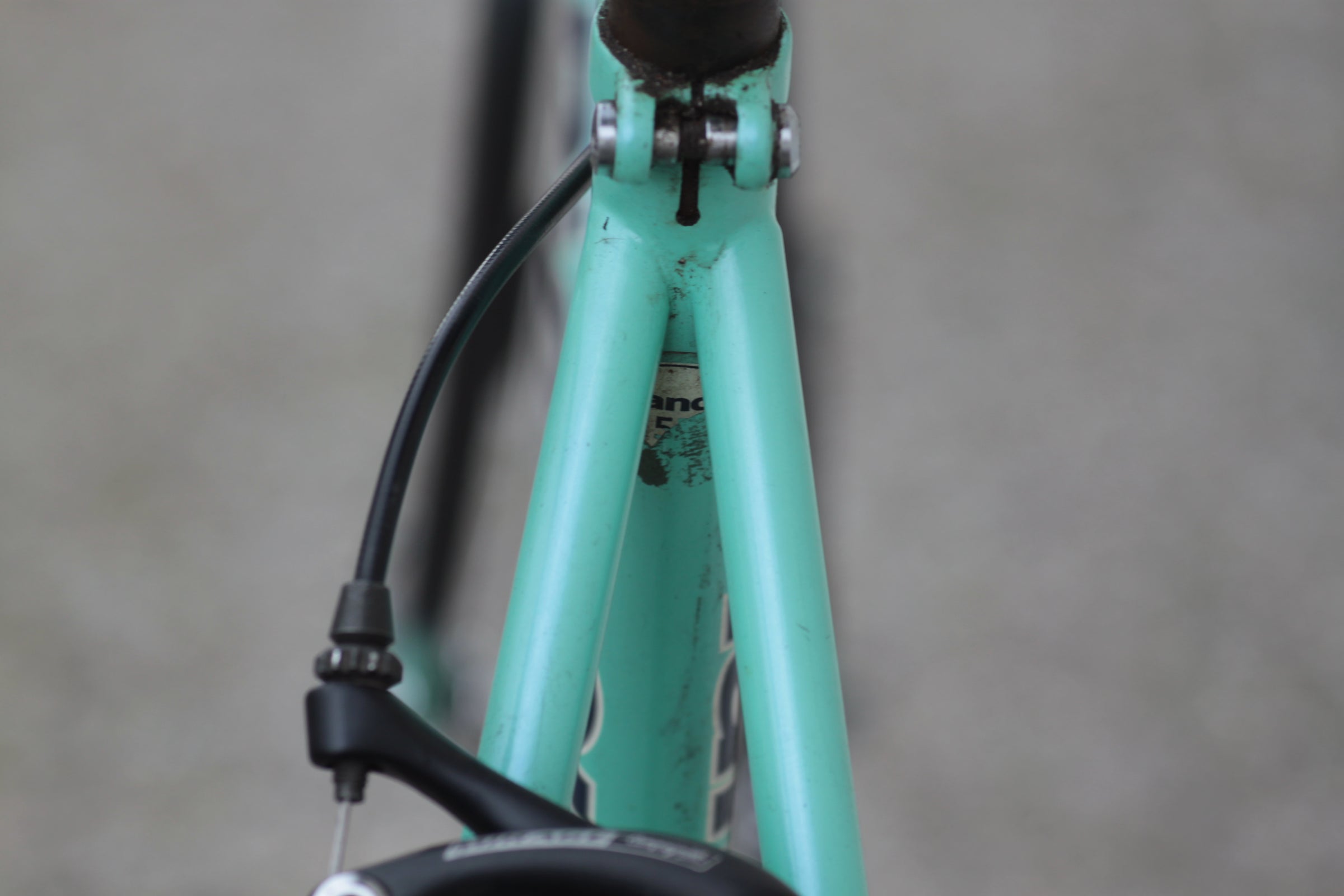 Bianchi Eros Reynolds 631 Steel Road Bike with Carbon Fork & Campy