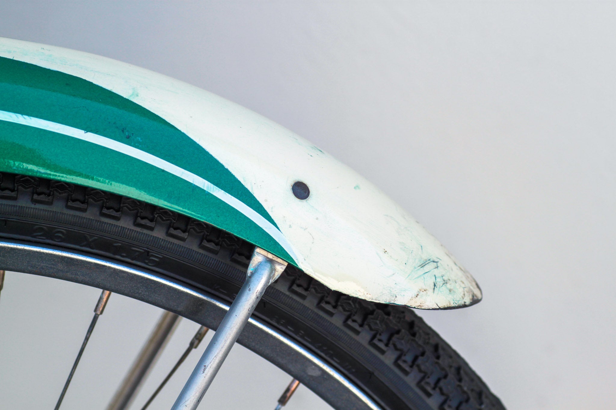 Schwinn Wasp Vintage Cruiser Bike from the 1950s green - JNNM
