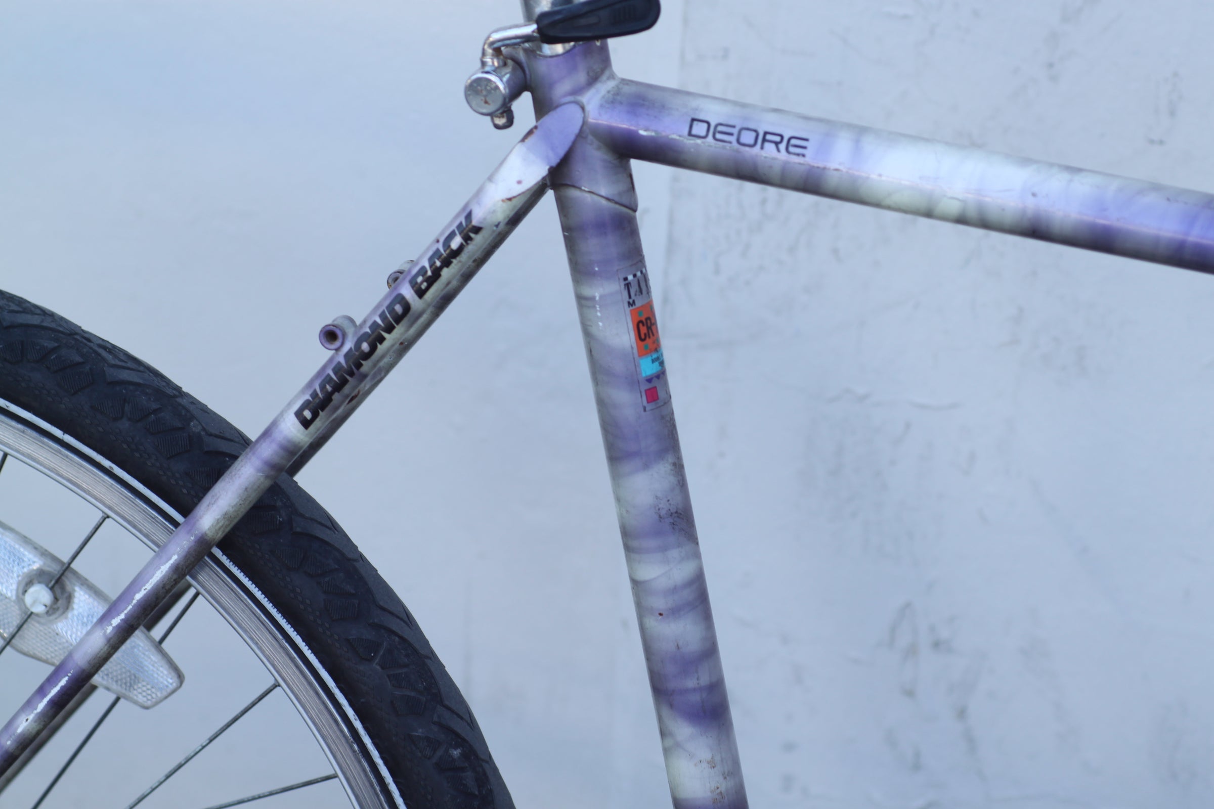 Diamondback Ascent EX Vintage MTB Turned City Gravel Cruiser