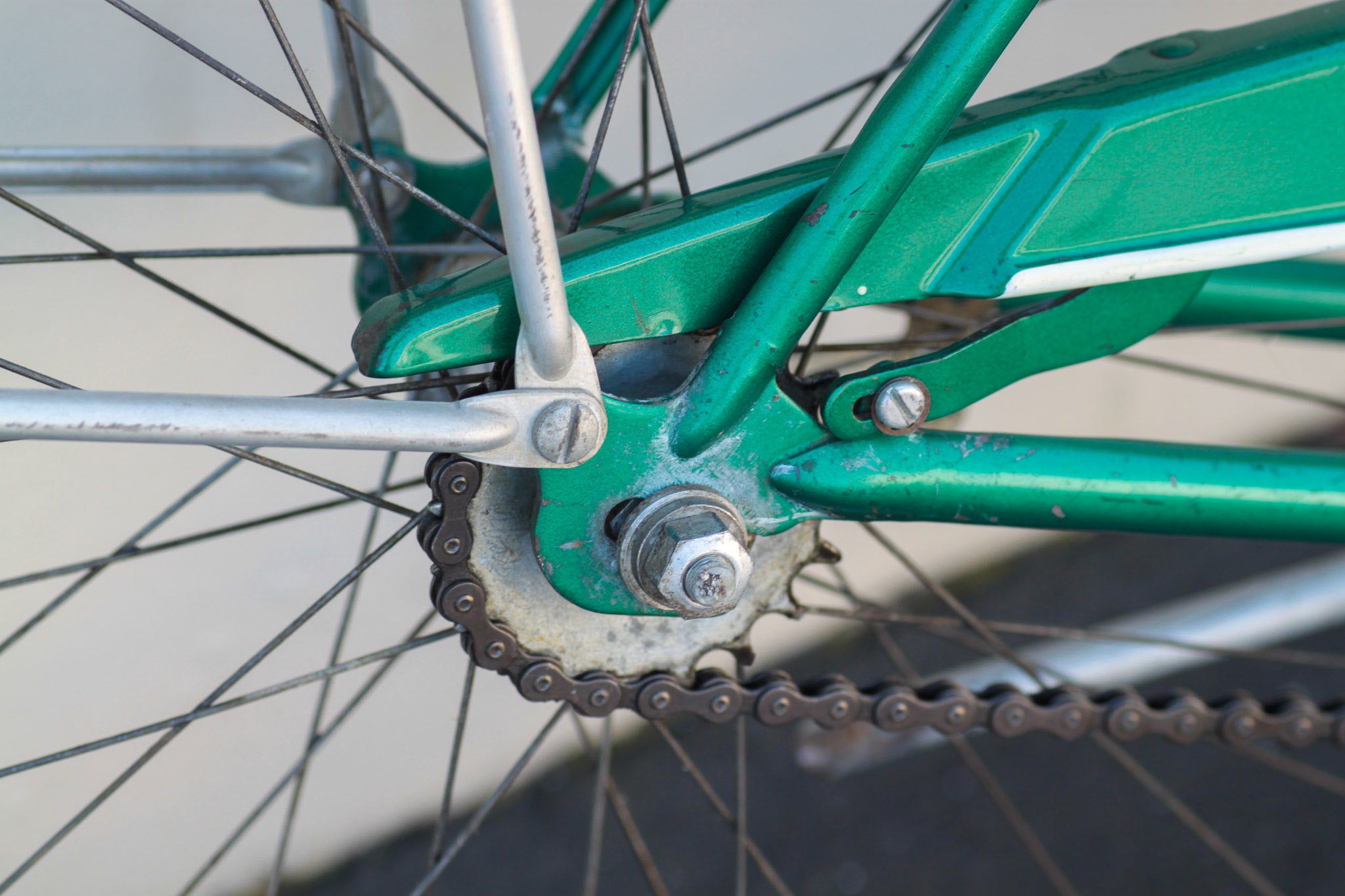 Schwinn Wasp Vintage Cruiser Bike from the 1950s green - JNNM