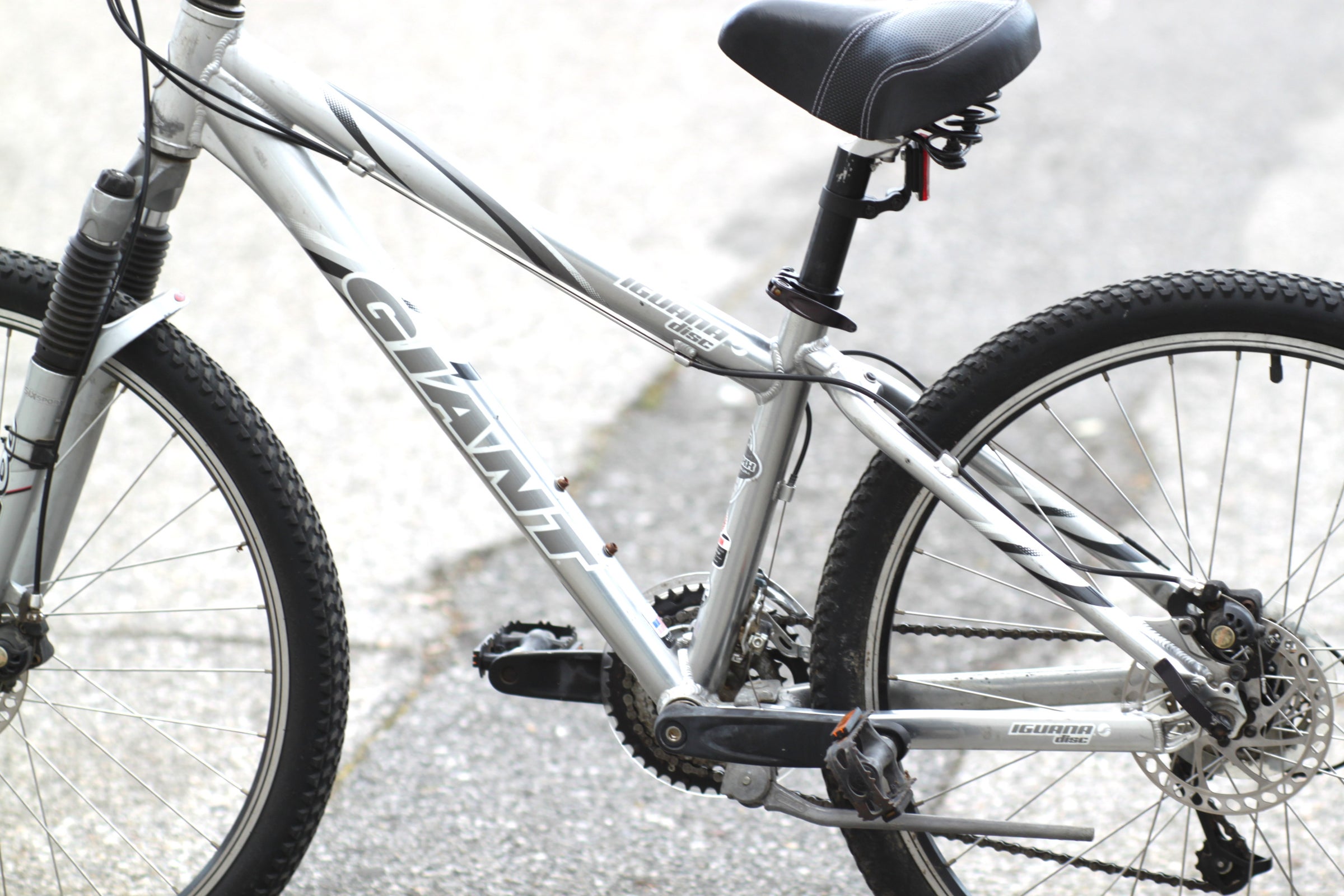 Giant Iguana Disc Sport Mountain Bike with Disc Brakes, Good for Big Kids  14" silver - YUVH | Used Bikes for Sale - Silicon Valley Bicycle Exchange -  Bay Area