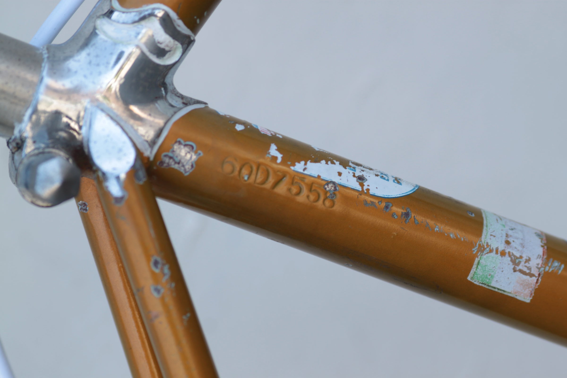 Cicles Lygie 1960 Vintage Lugged Steel Road Bike with Campagnolo