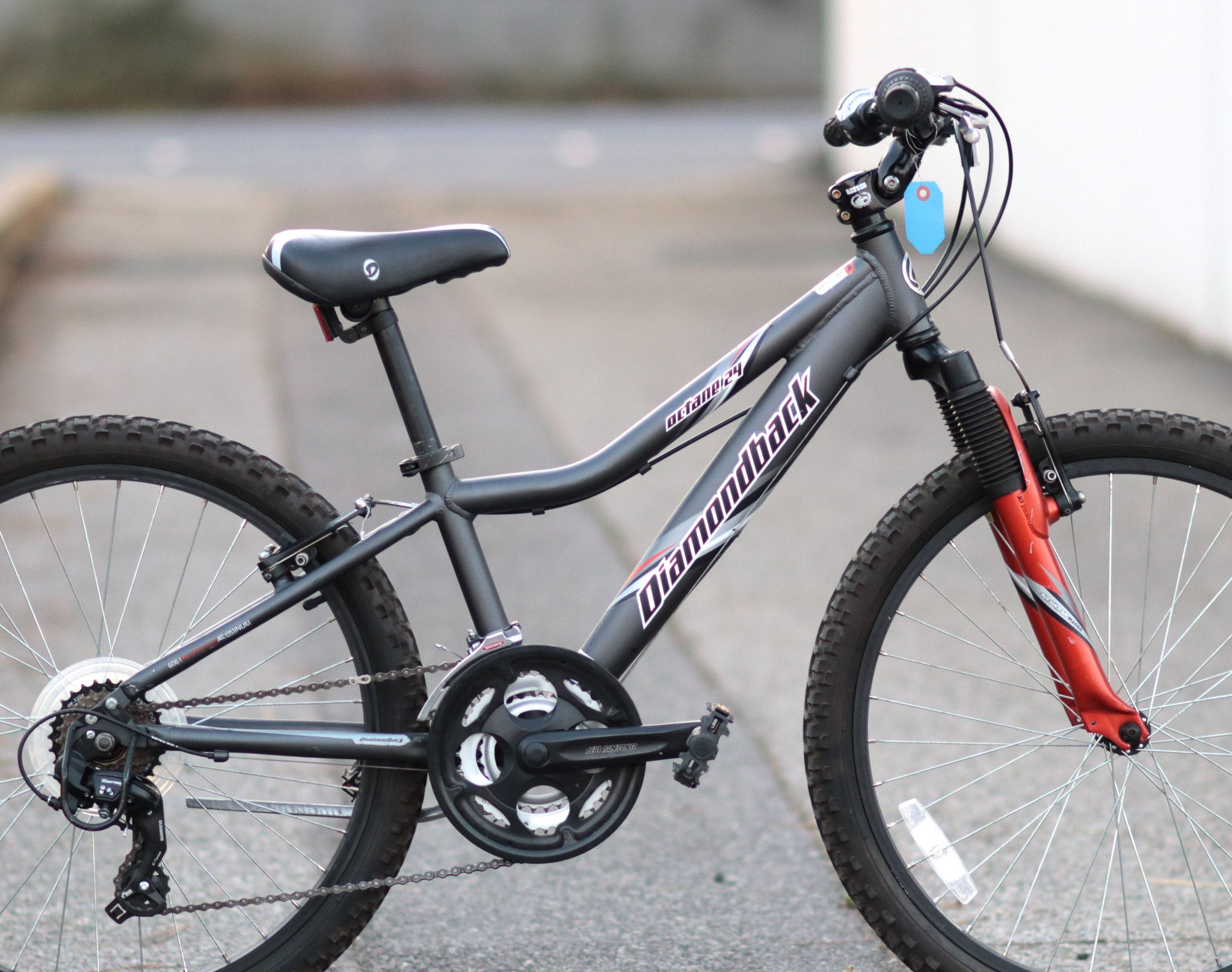Diamondback Octane 24 kids bike with 24