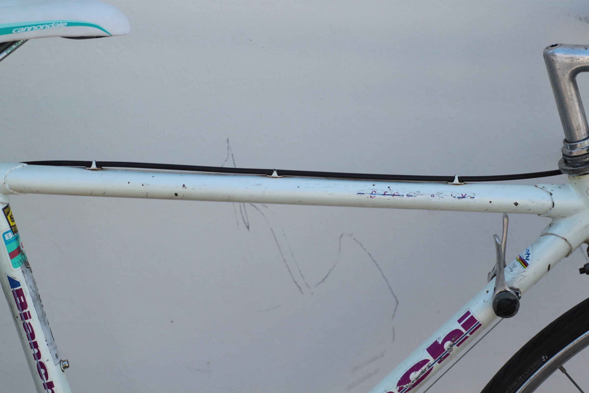 ■ bianchi plata Bianchi Tagged 