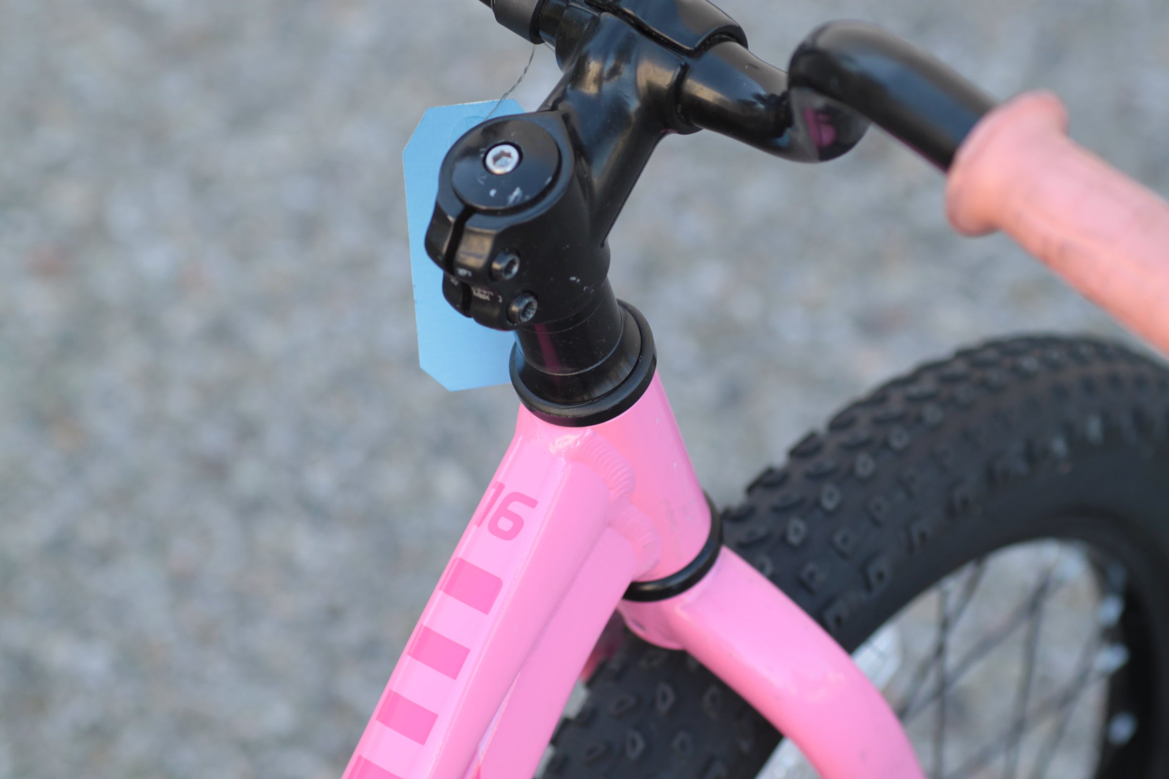 Trek Precaliber 16 Kid's Bike with 16” Wheels, Wide Tires pink