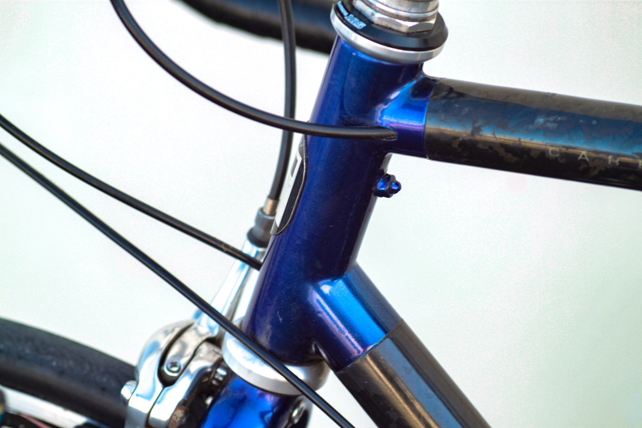 【オンライン限定商品】  Bike Road Series Carbon ZX 2100 Trek black/blue TLIL - 自転車本体