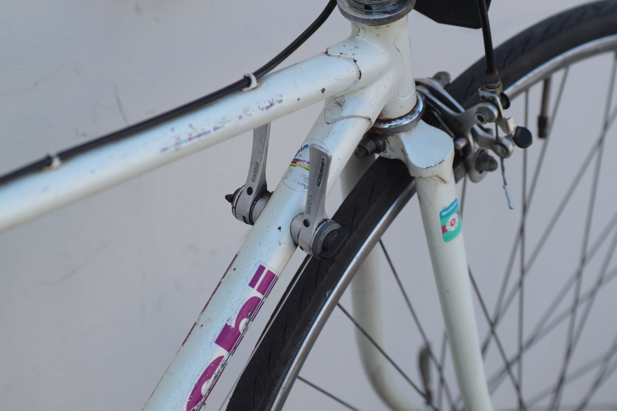 ■ bianchi plata Specialissima COMP | Bianchi