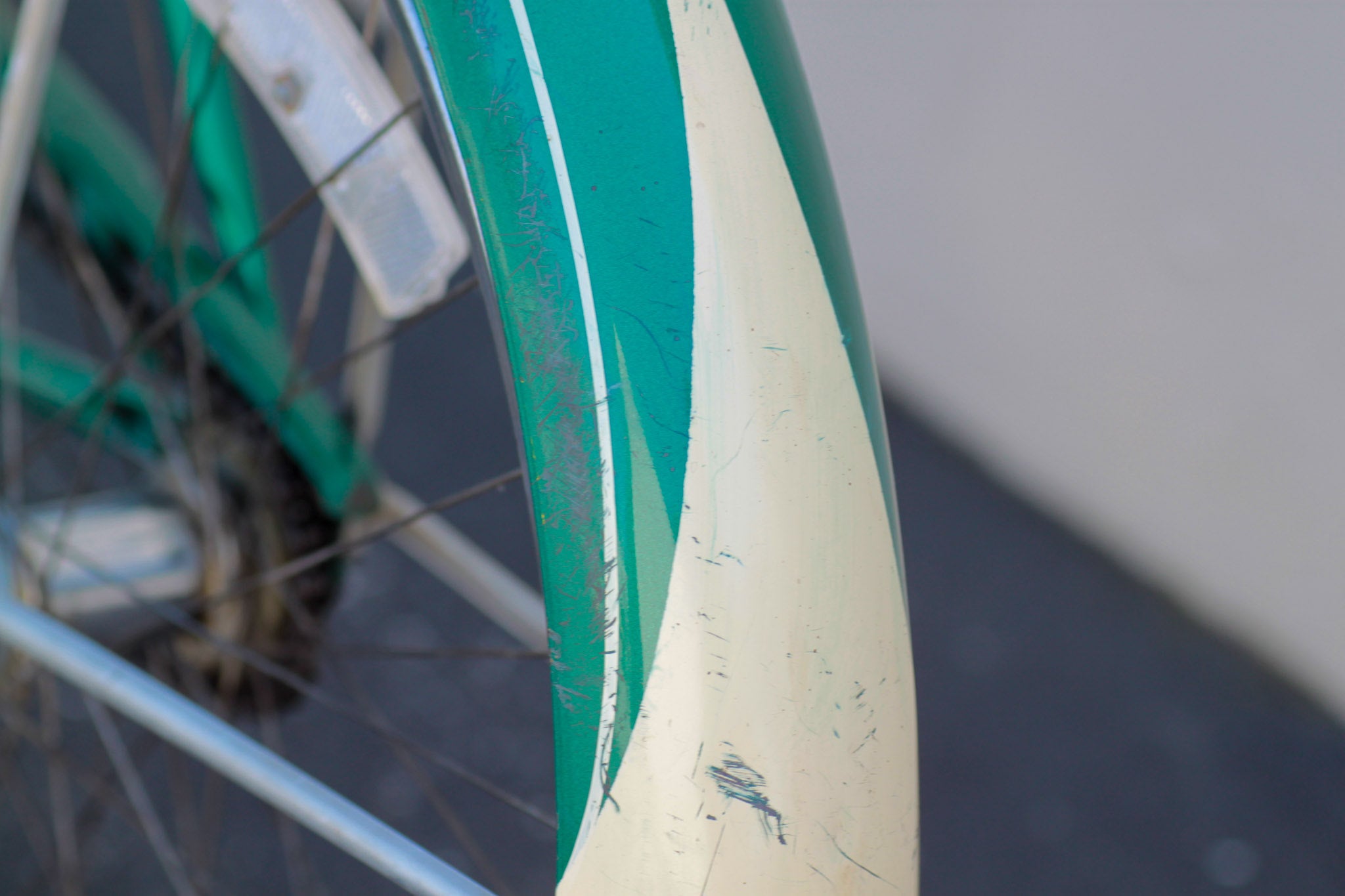 Schwinn Wasp Vintage Cruiser Bike from the 1950s green - JNNM