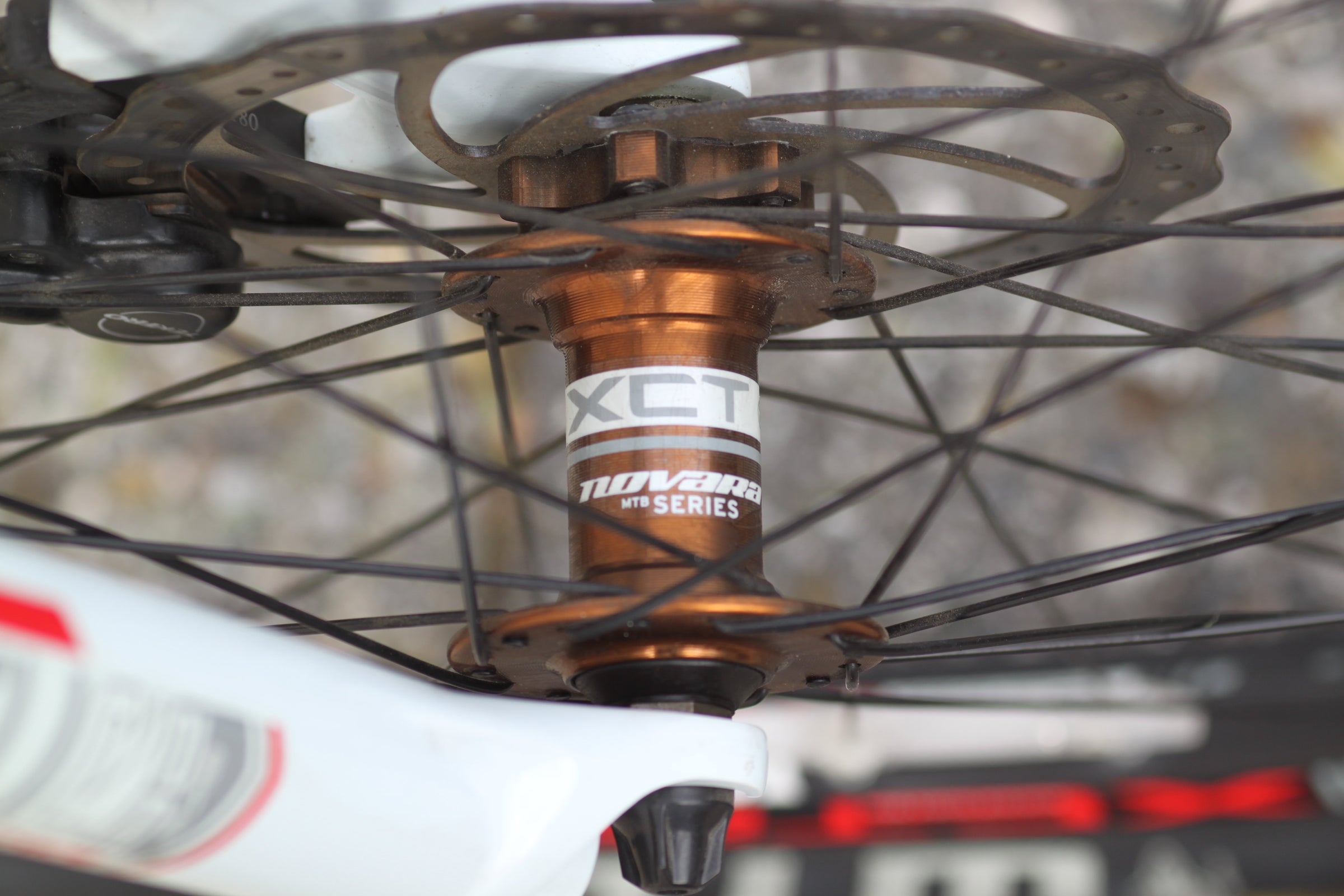 Novara Tupelo 27.5” Hardtail MTB with Disc Brakes and Big Wheels M