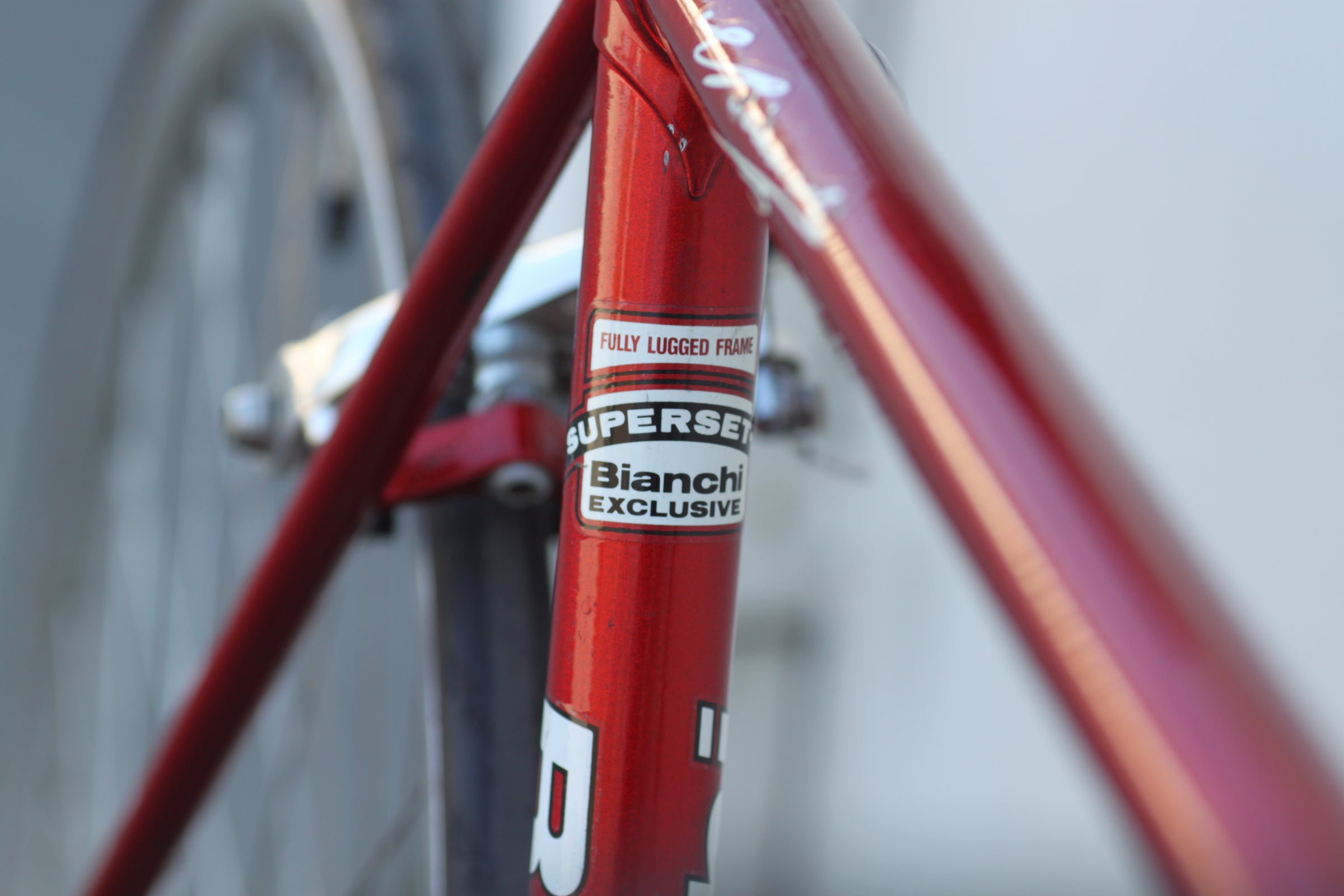 Bianchi Veloce Vintage Dedacciai Lugged Steel Road Bike with