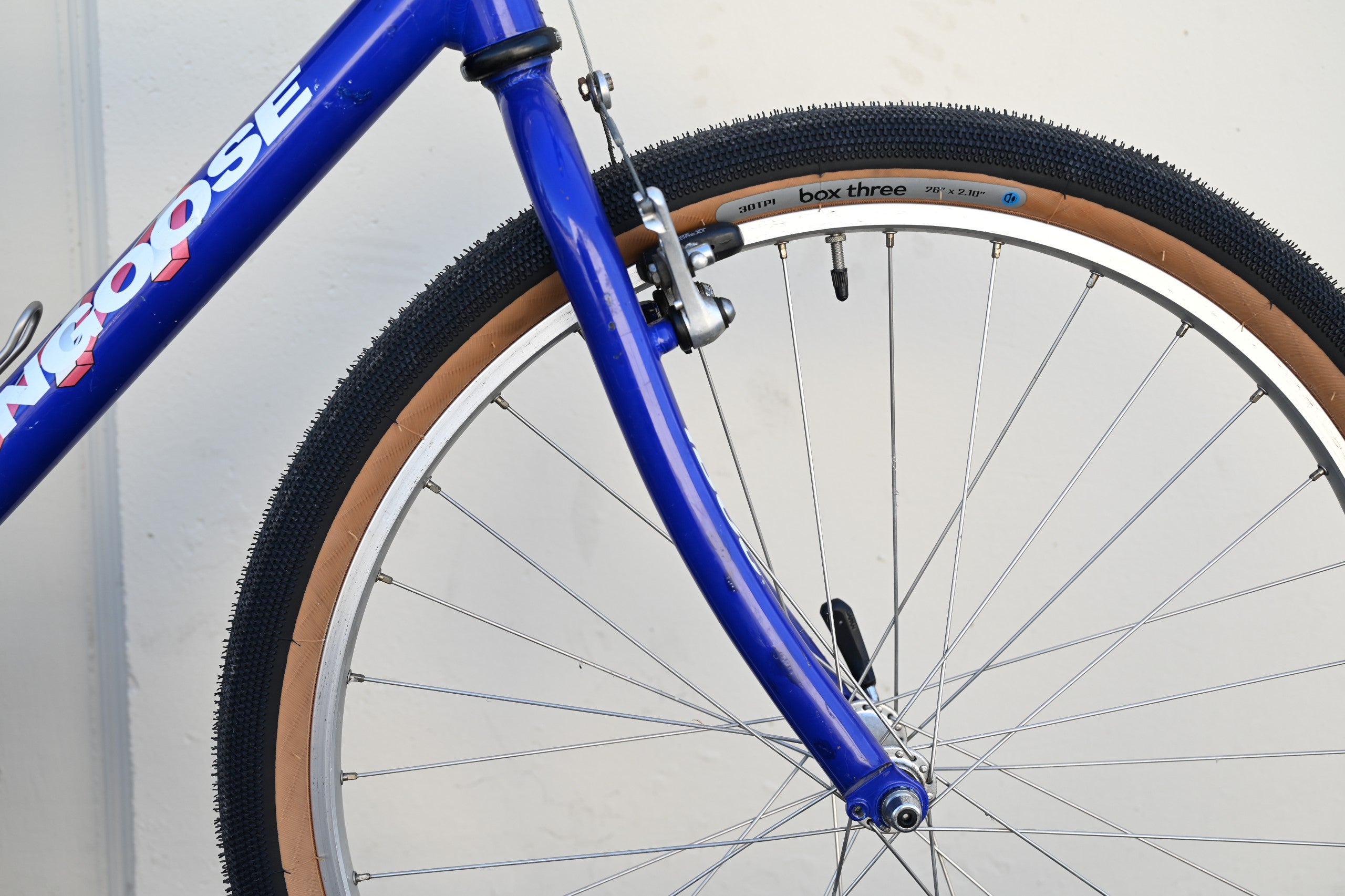 Mongoose IBOC Pro Vintage Looptail MTB with New Tires & Saddle