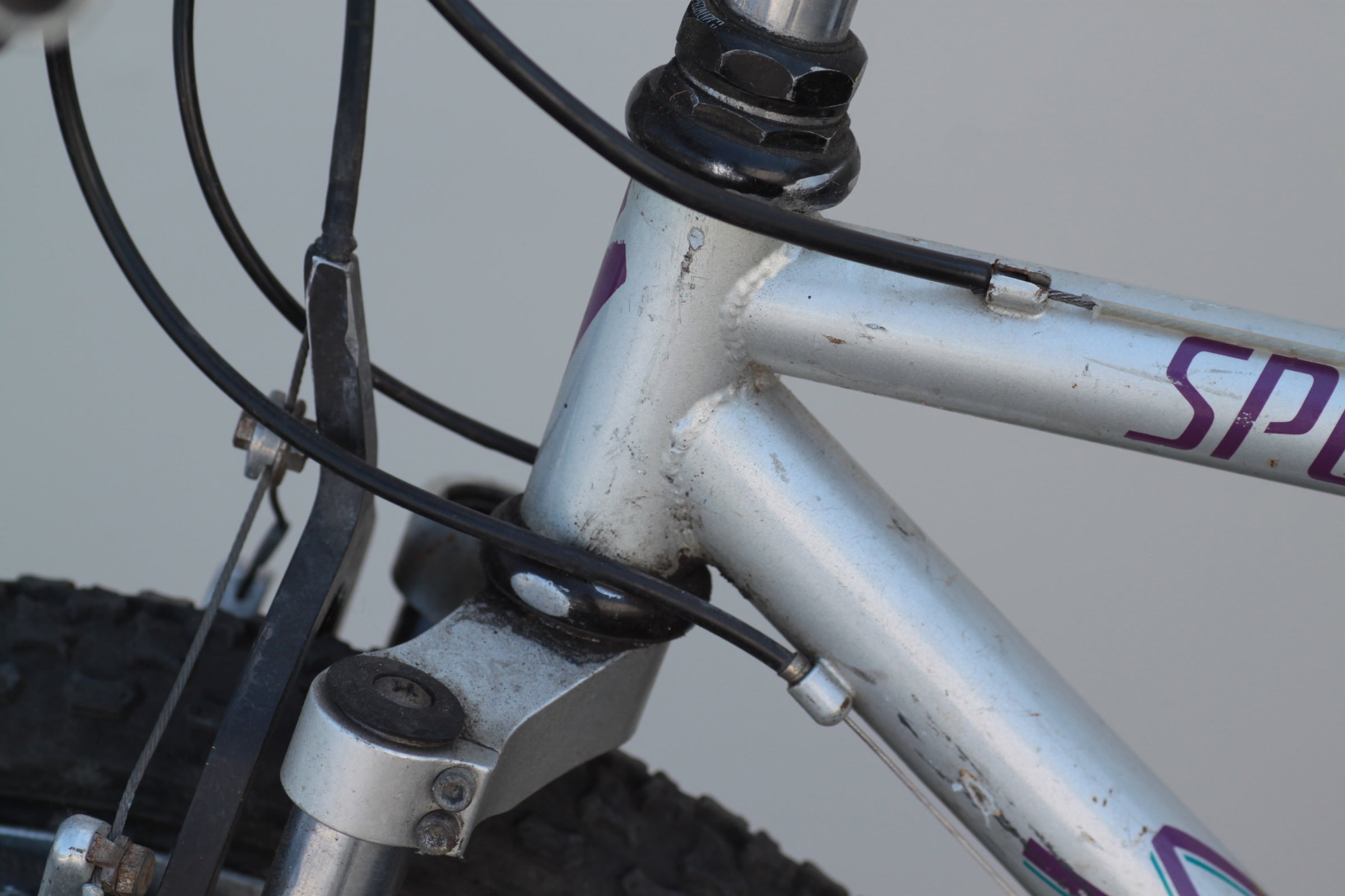 スティーブ・フィールド　 　　SILVER GRAE 27387811_o?fmt=jpg&qlt=default