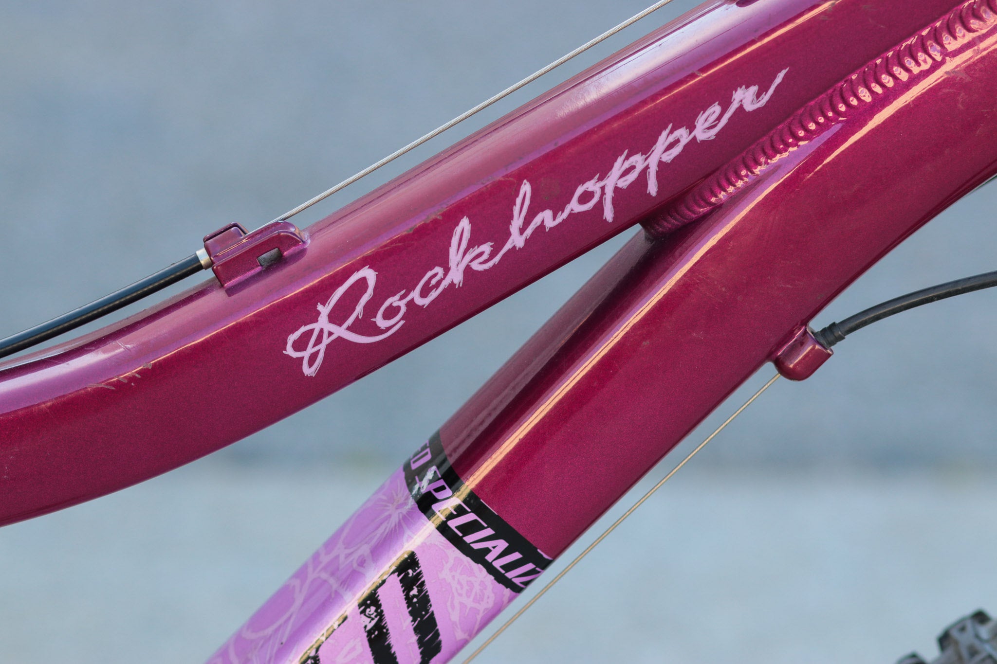 Specialized Rockhopper RH Womens / Girls / Big Kids Mountain Bike 15" purple - DEOX | Used Bikes for Sale - Silicon Valley Bicycle Exchange - Bay Area Specialized Rockhopper RH Womens / Girls / Big Kids Mountain Bike 15" purple - DEOX | Used Bikes for Sale - Silicon Valley Bicycle Exchange - Bay Area