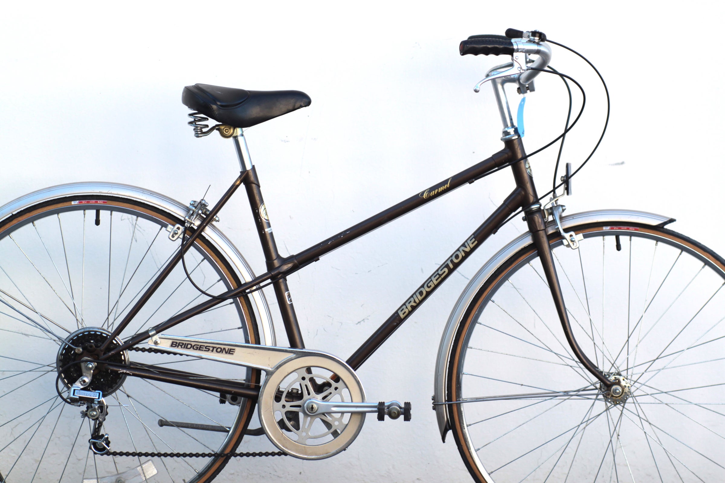 Bridgestone Carmel Vintage Steel Mixte Ladies Cruiser Medium