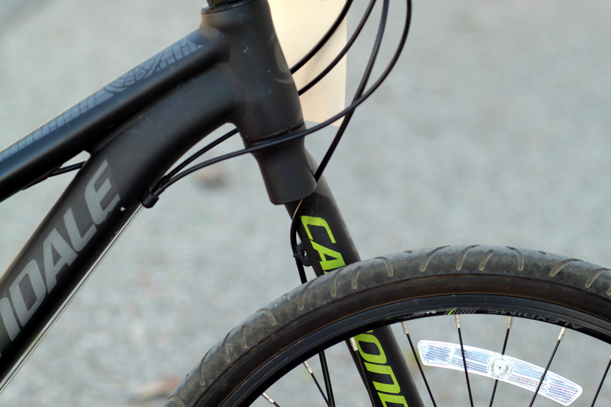 nobu　② CANNONDALE STREET BOYS 24 タイヤ Cannondale Street 24 Kid's Bike with Disc Brakes and Solo
