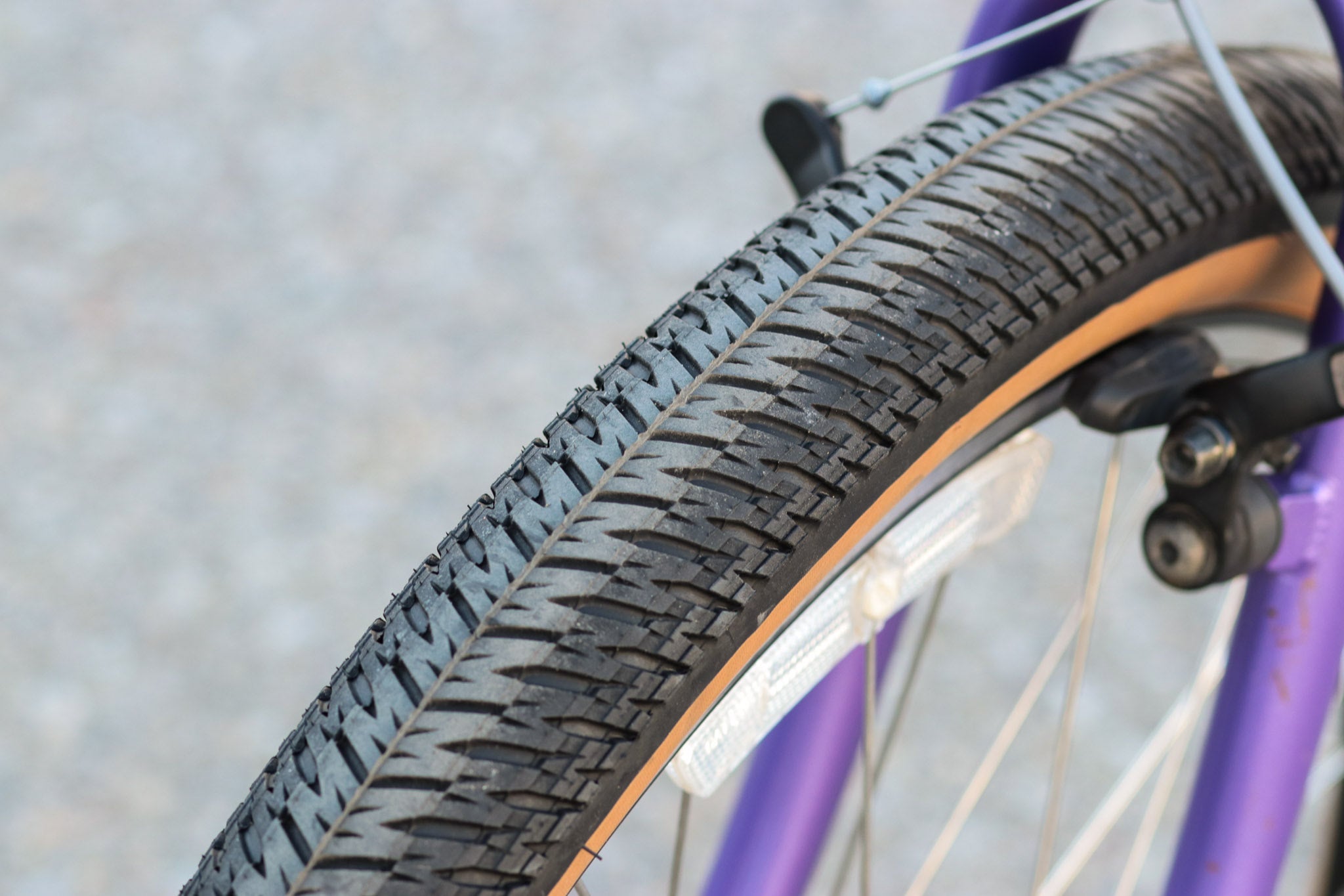 Specialized RockHopper Sport Vintage Mountain Bike with New Maxxis