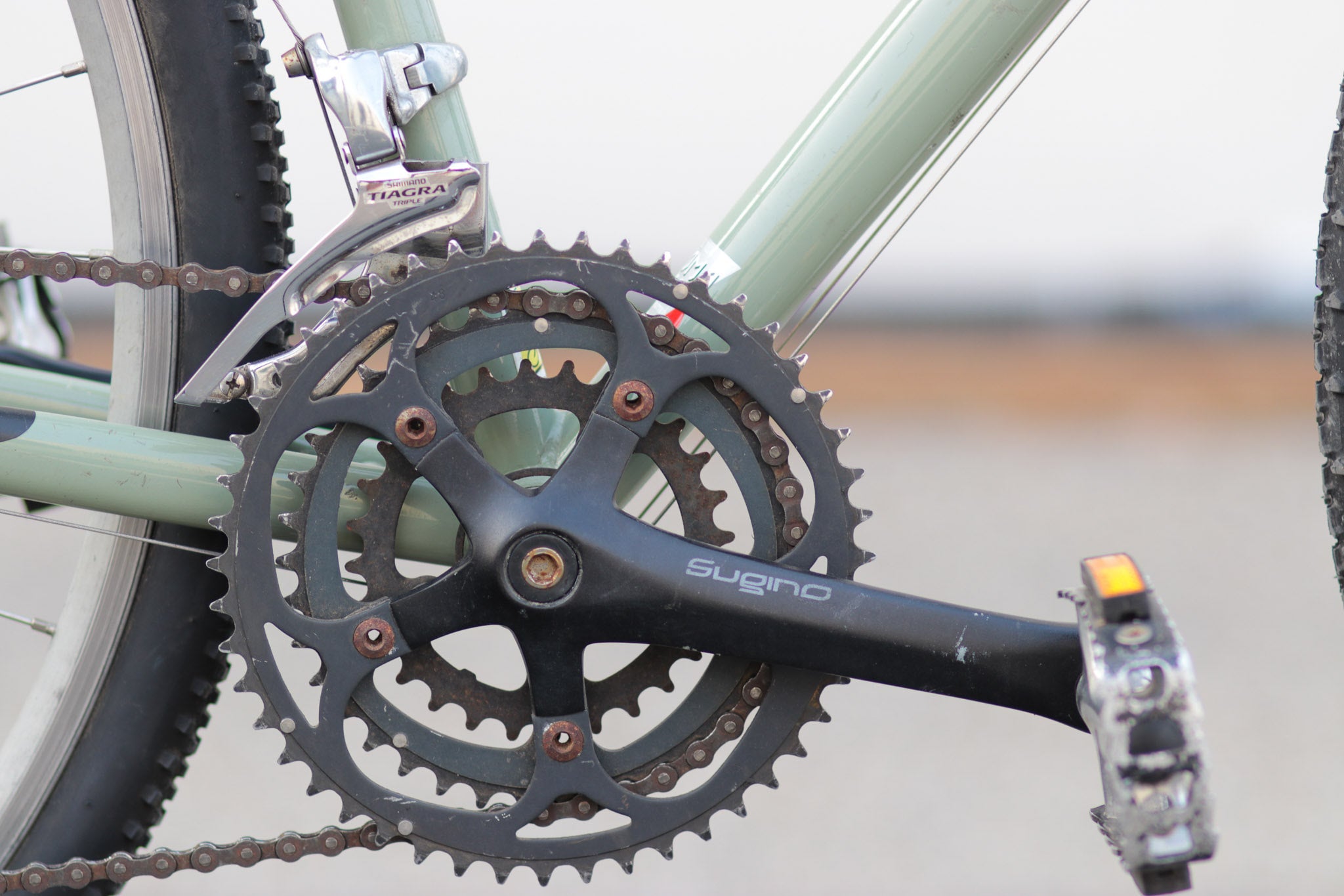 Bianchi Volpe Gravel / All-Road / Cyclocross Bike Gang Green