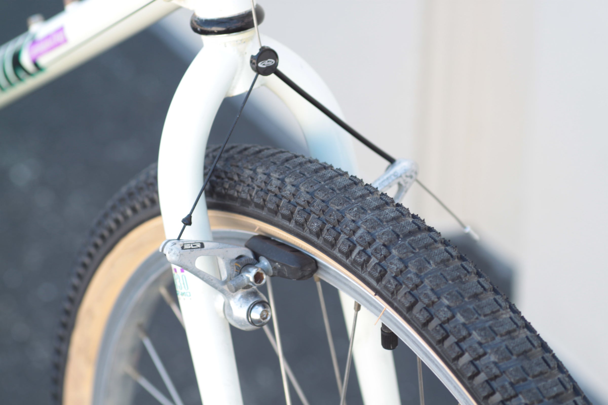 Nishiki Ariel Vintage Hardtail MTB with New SE Tires Extra Large