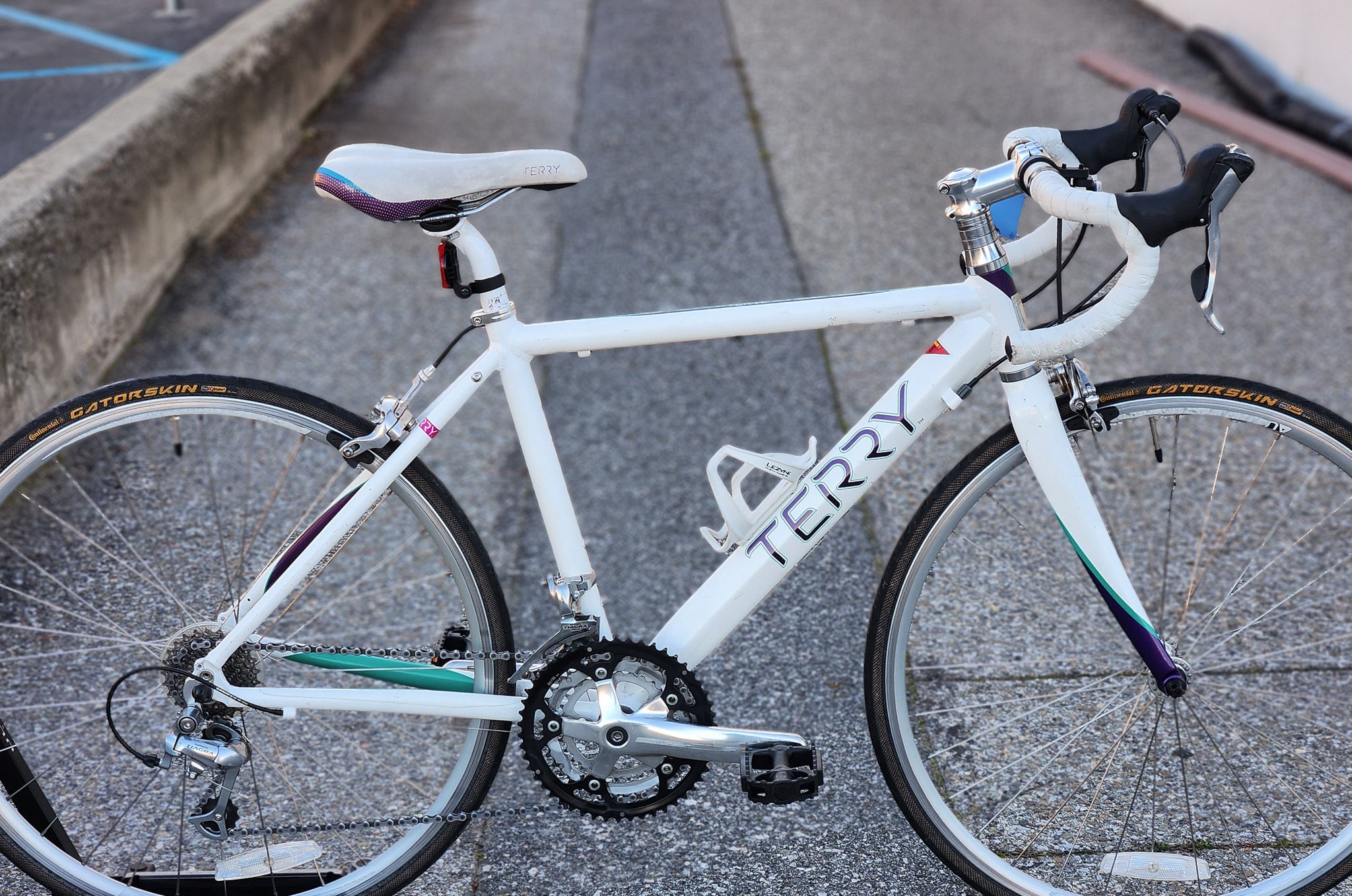 Terry Symmetry Women's Specific Road Bike with 650c Wheels, Good for  Shorter Riders white - VHKZ | Used Bikes for Sale - Silicon Valley Bicycle  Exchange - Bay Area