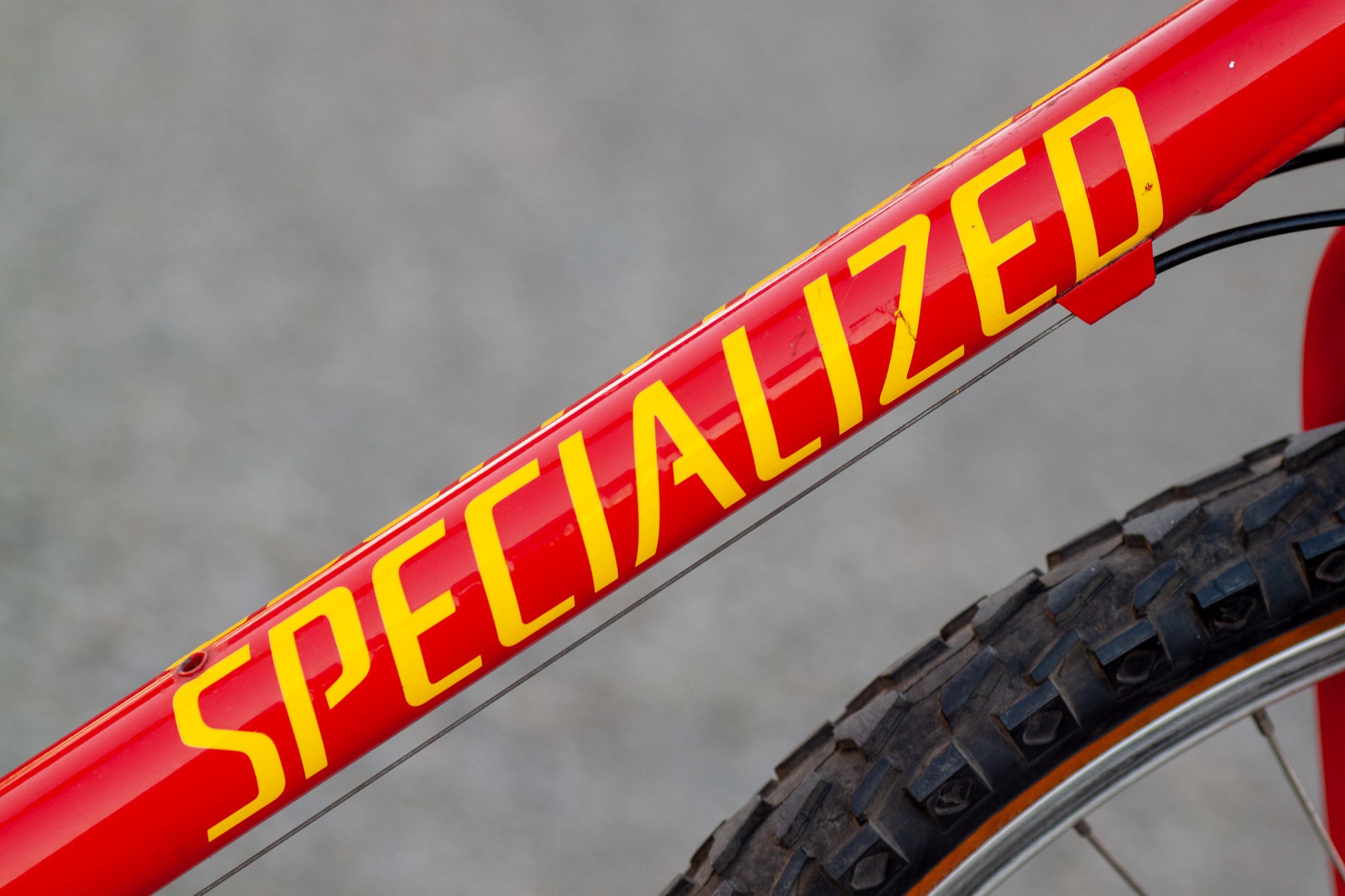 Specialized Duralcan M2 Stumpjumper Team Edition Vintage