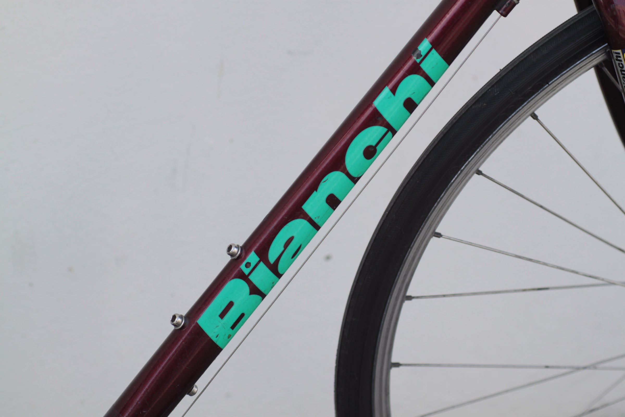 Bianchi Strada Reynolds Steel Commuter Hybrid Touring Bike purple