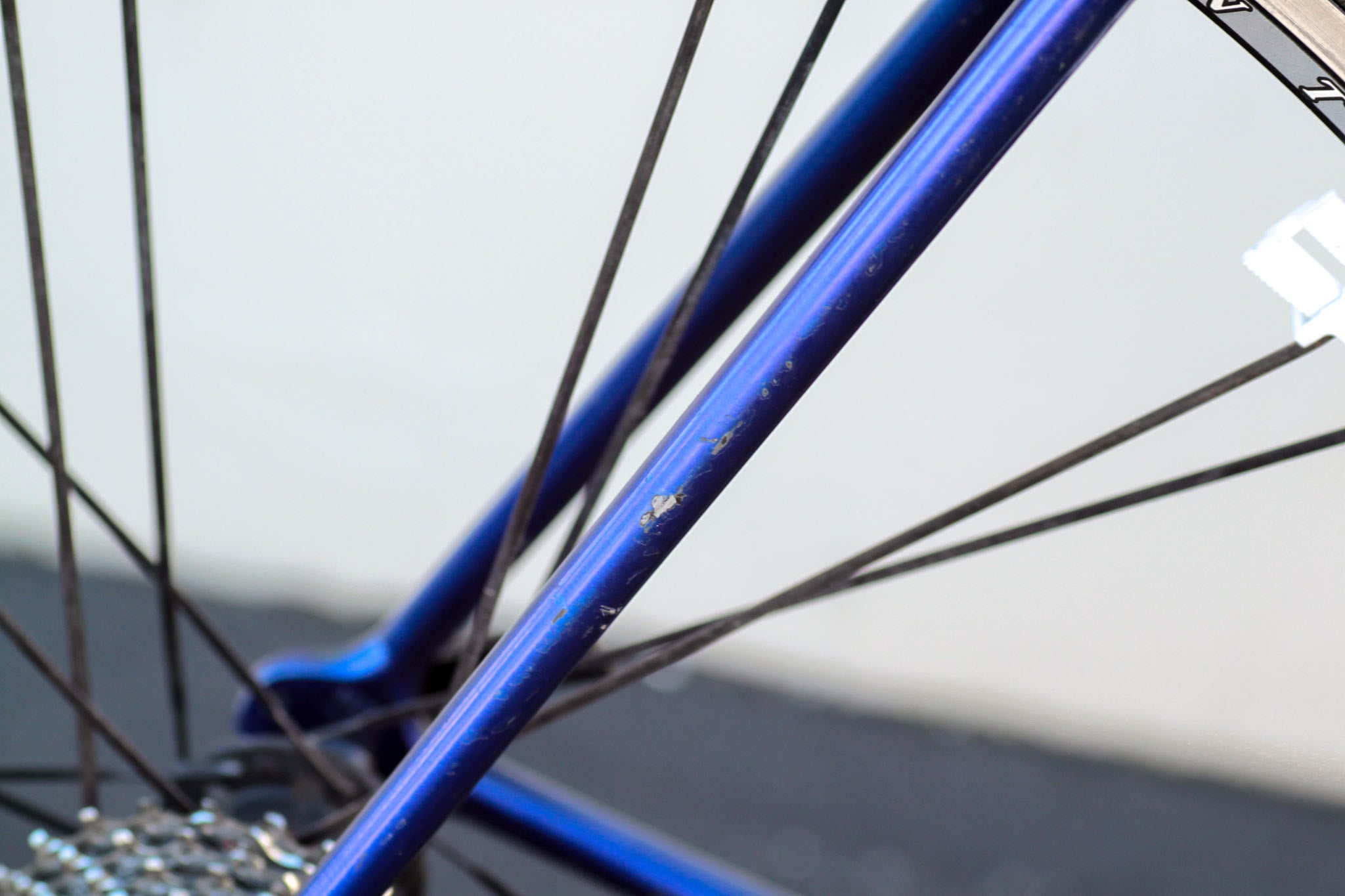 Trek 2100 ZX Carbon Series Road Bike black/blue - TLIL