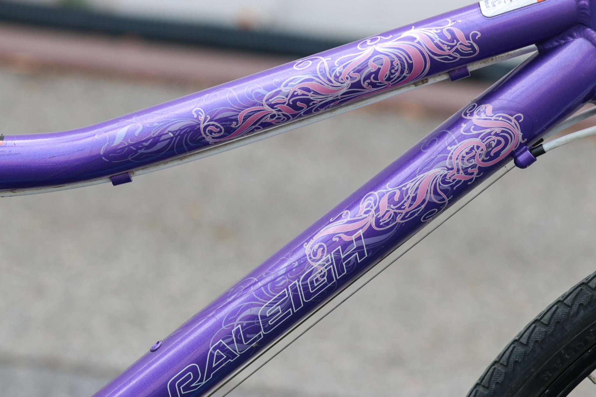 Raleigh Ivy 24