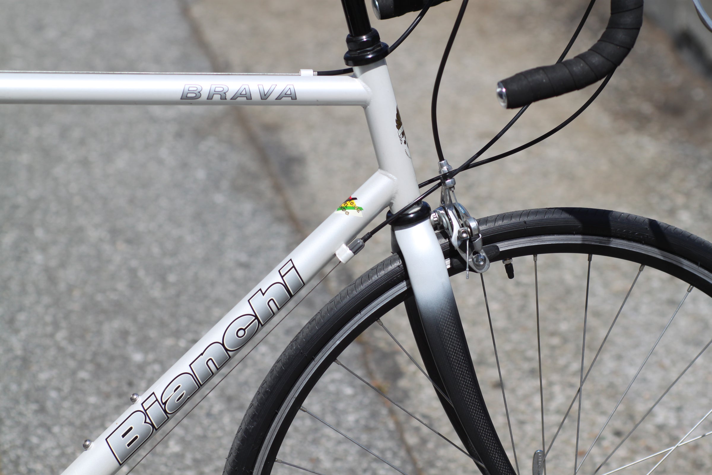 Bianchi Brava Steel Road Bike with Carbon Fork, Shimano Drivetrain