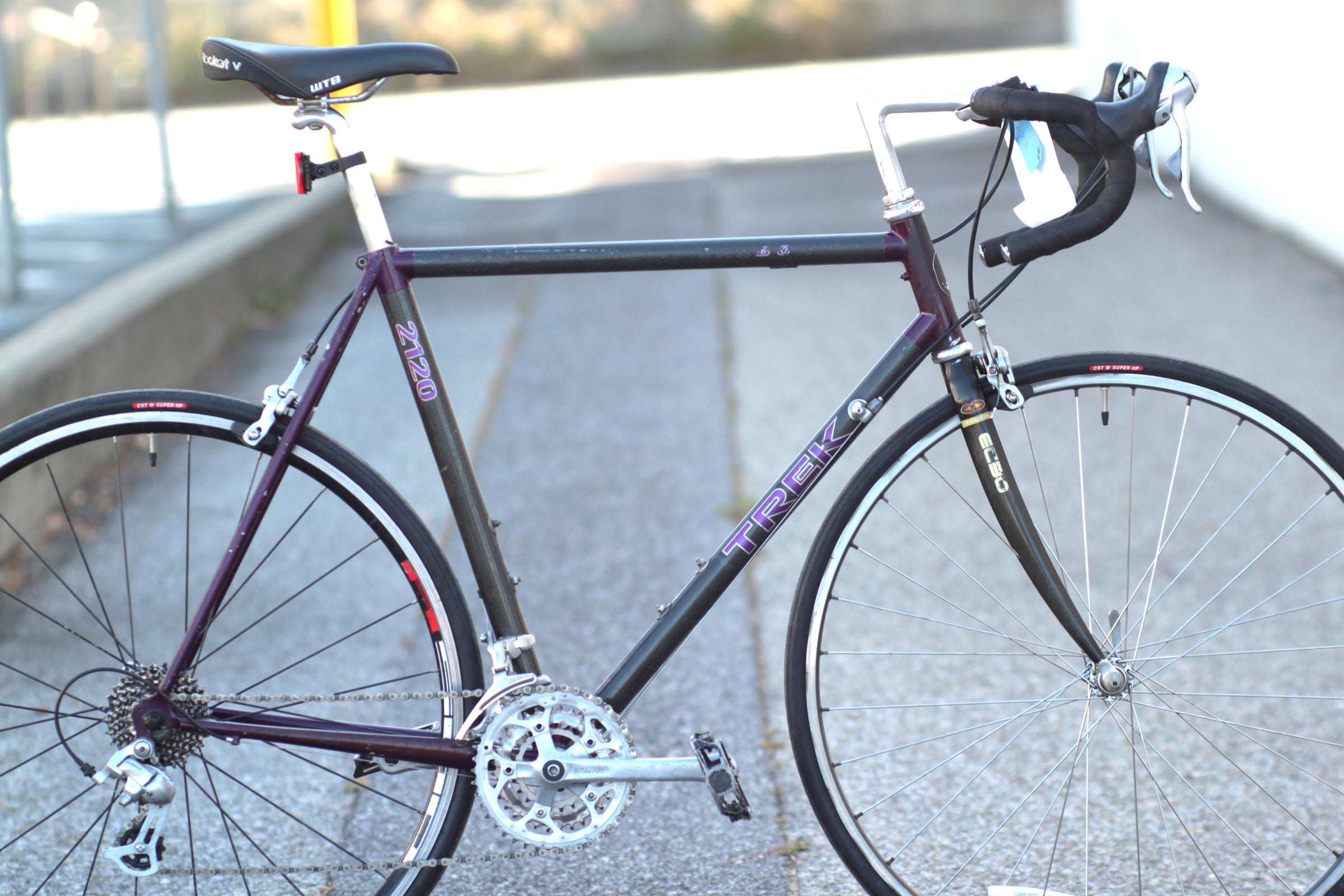 Trek 2120 Vintage Carbon Road Bike with Easton Carbon Fork 55cm