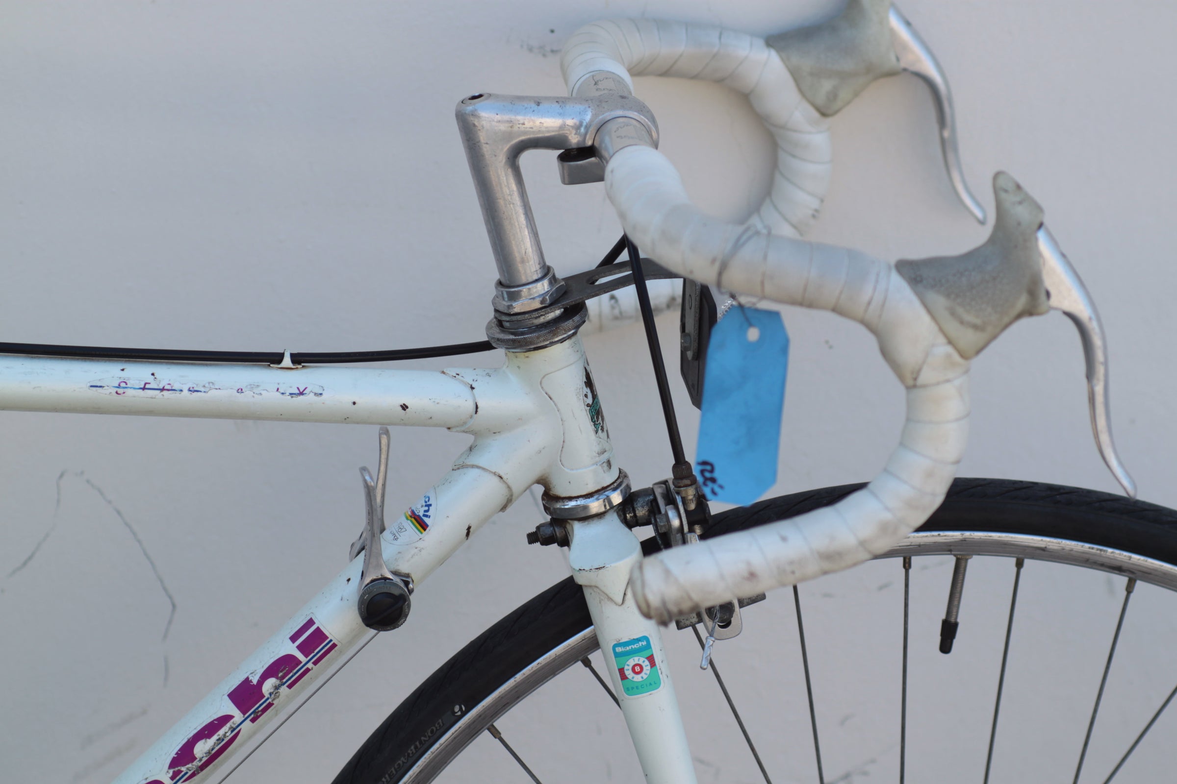 自転車本体 Bianchi Lupe チェレステのロードバイク ル・サイク土浦 | 自転車専門店