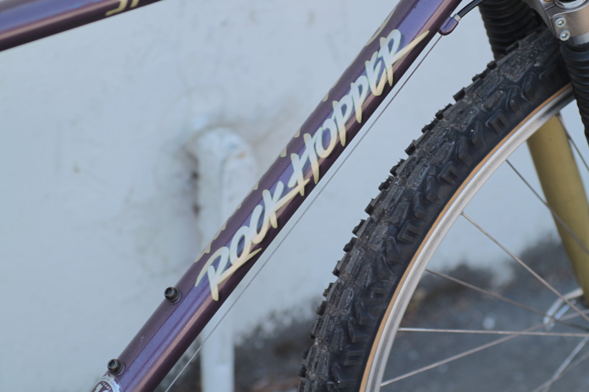 Specialized RockHopper Vintage Steel Hardtail MTB with RockShox