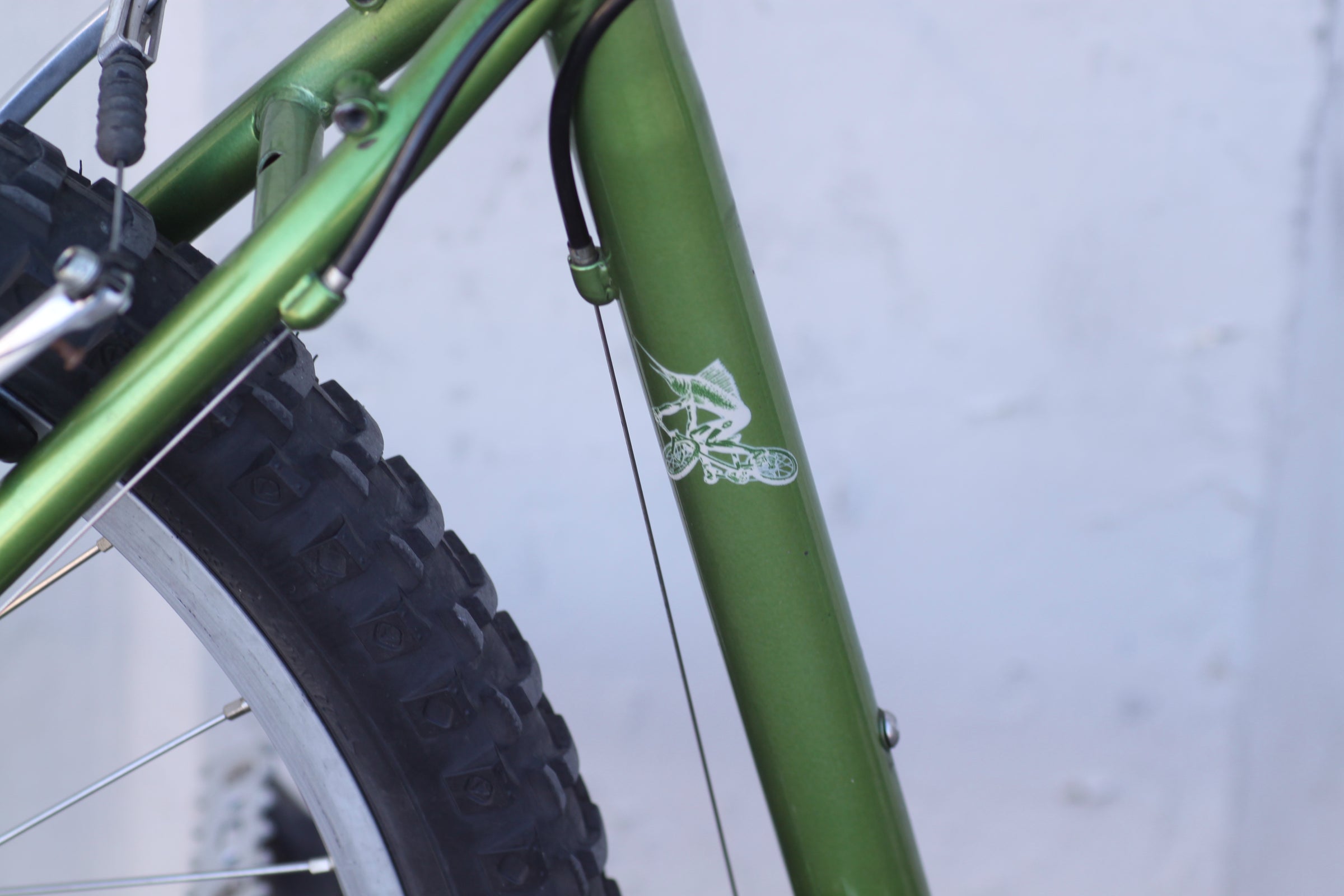 Gary Fisher Aquila Classic Steel MTB with New Front Tire green
