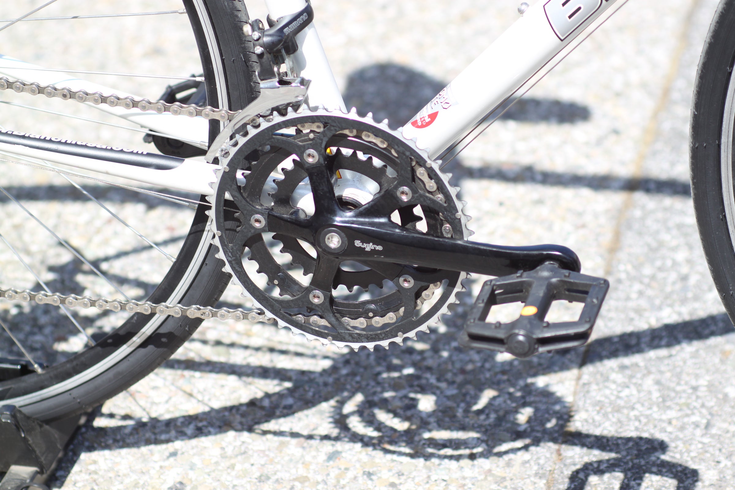 Bianchi Brava Steel Road Bike with Carbon Fork, Shimano Drivetrain