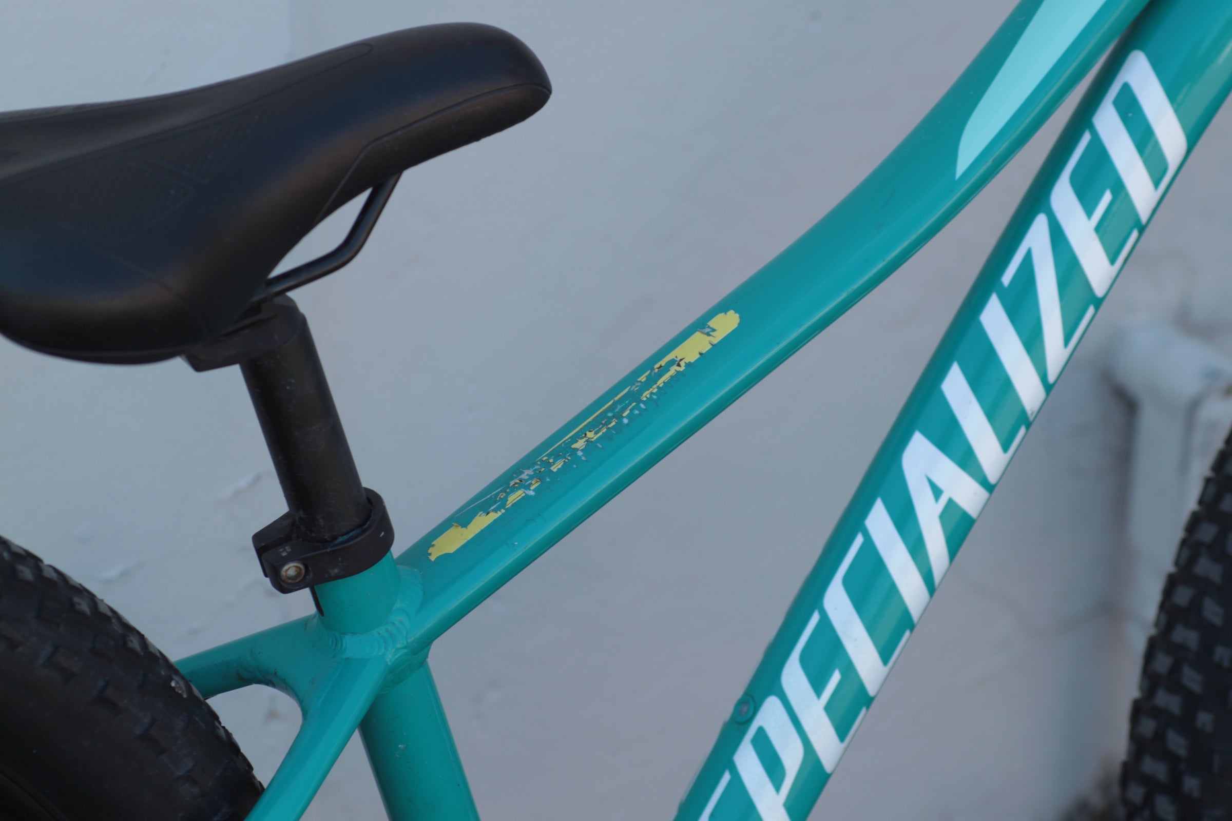 Specialized Riprock 24 Kids Bike with Disc Brakes green Specialized Riprock 24 Kids Bike with Disc Brakes green