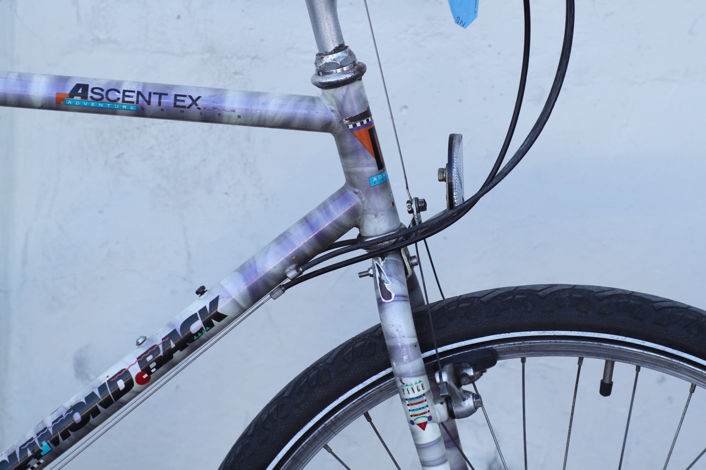 Diamondback Ascent EX Vintage MTB Turned City Gravel Cruiser