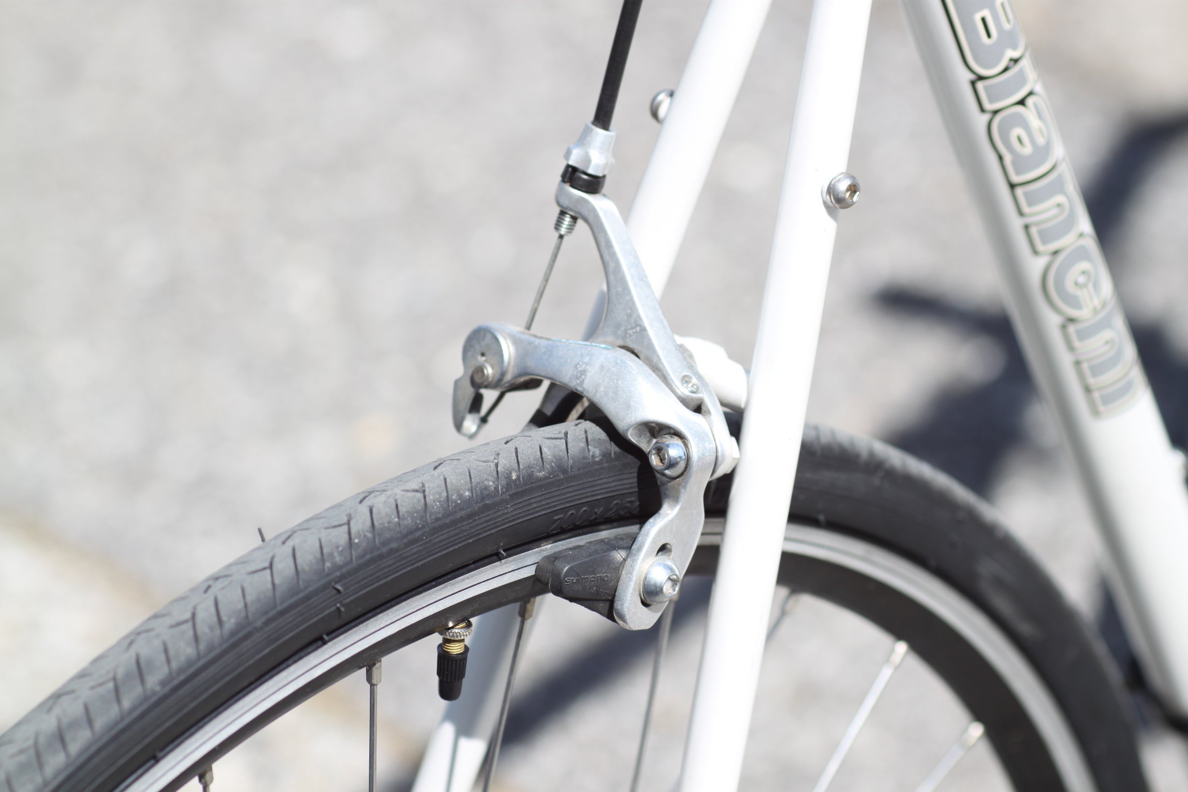 Bianchi Brava Steel Road Bike with Carbon Fork, Shimano Drivetrain