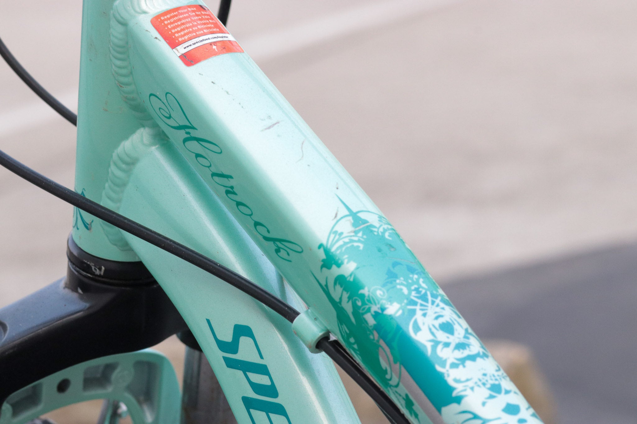 Specialized Hotrock 24