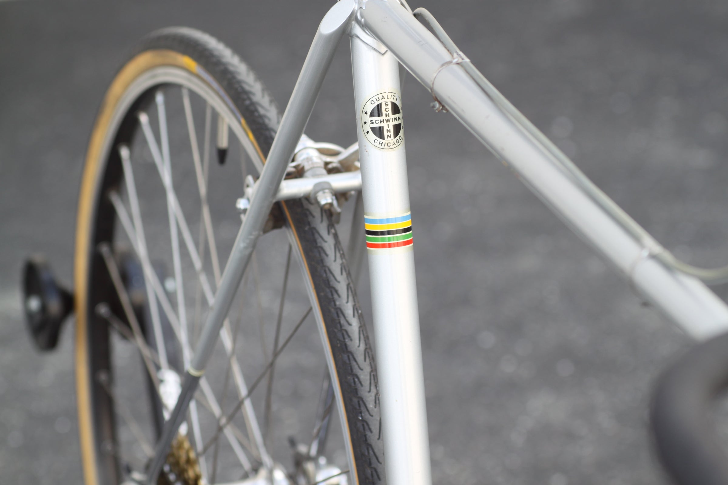 Schwinn Paramount Vintage Lugged Steel Road Bike - Made in Chicago