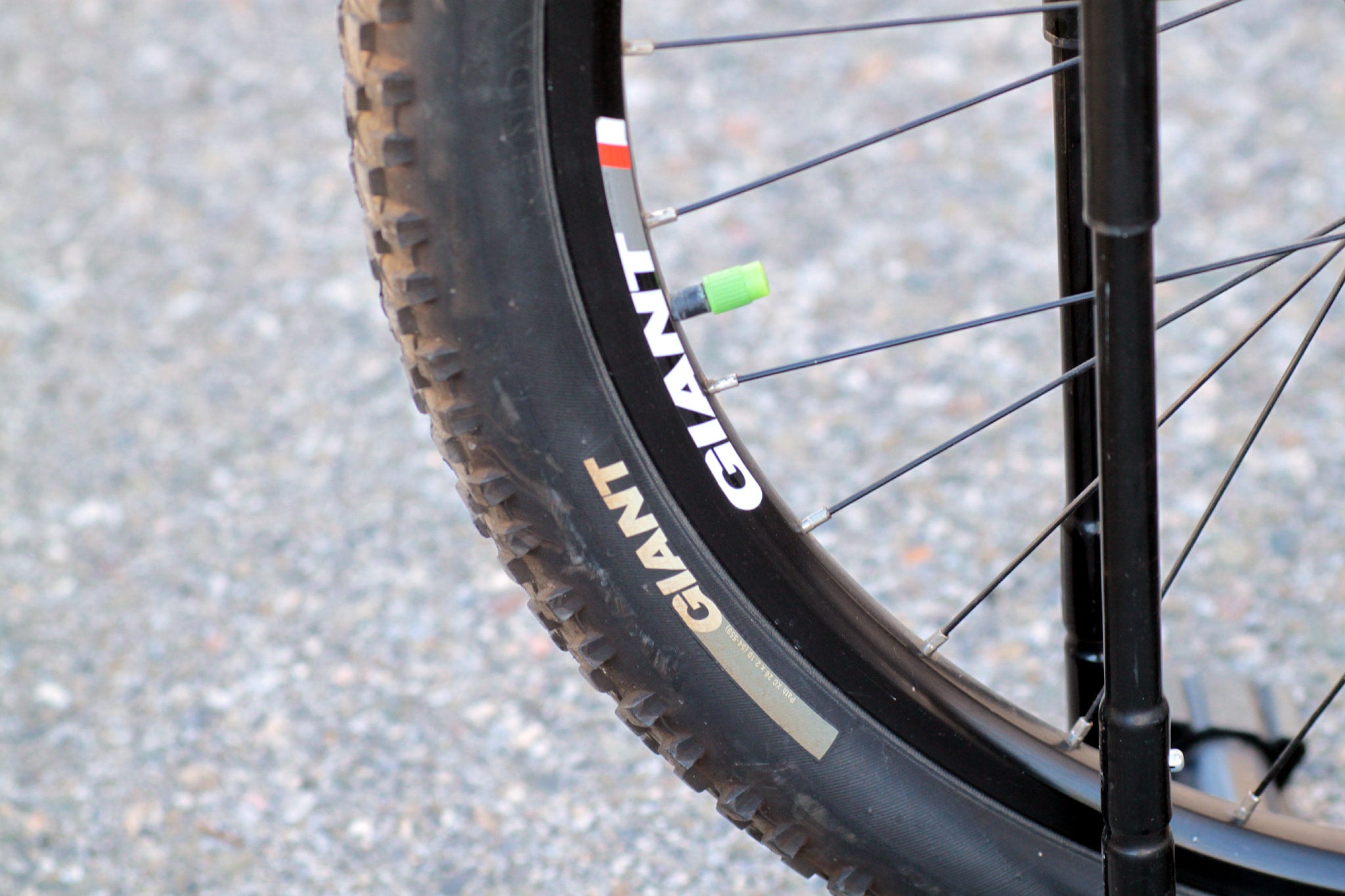 Giant revel tire shop