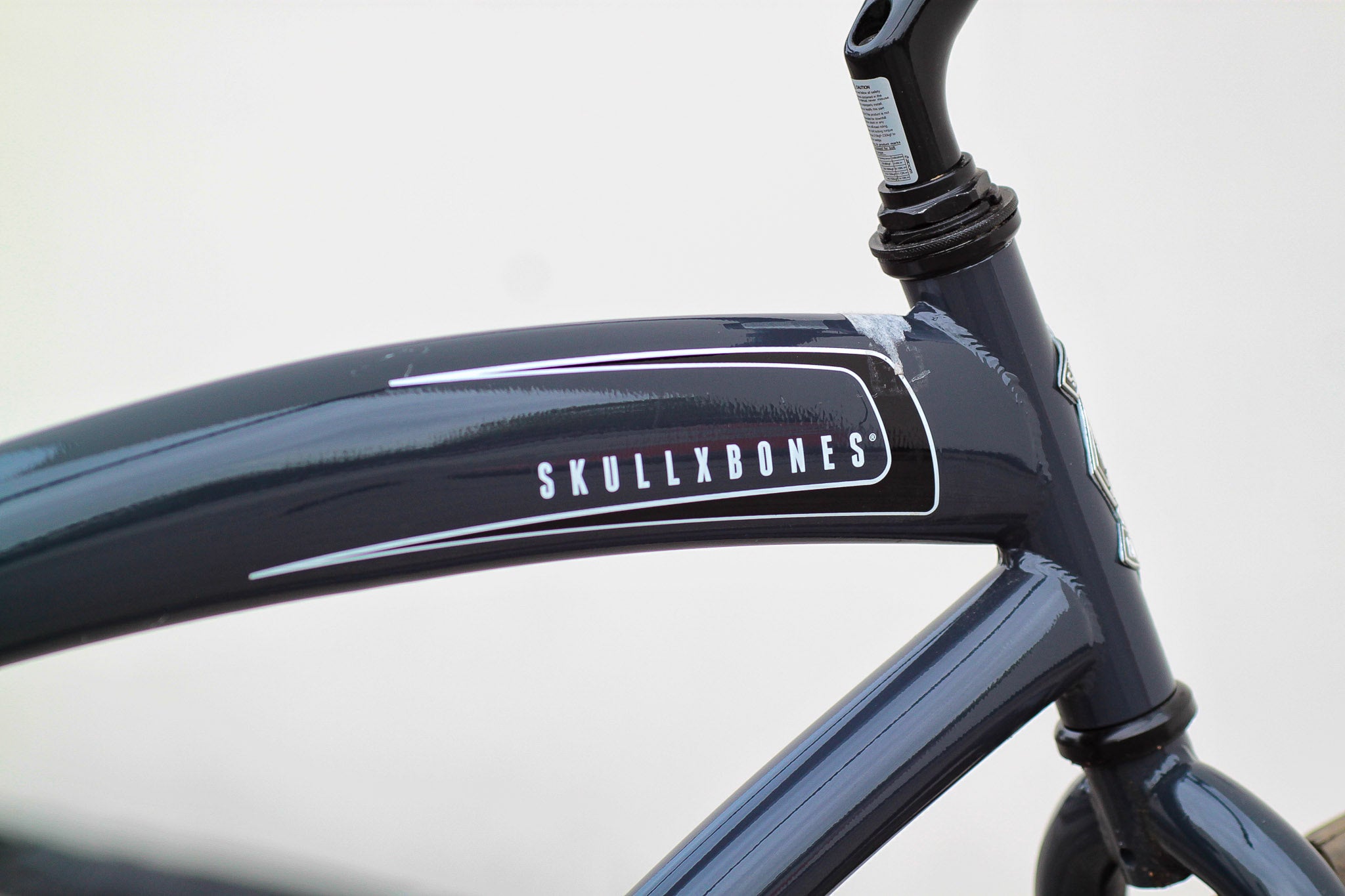Skullxbones beach cruiser clearance