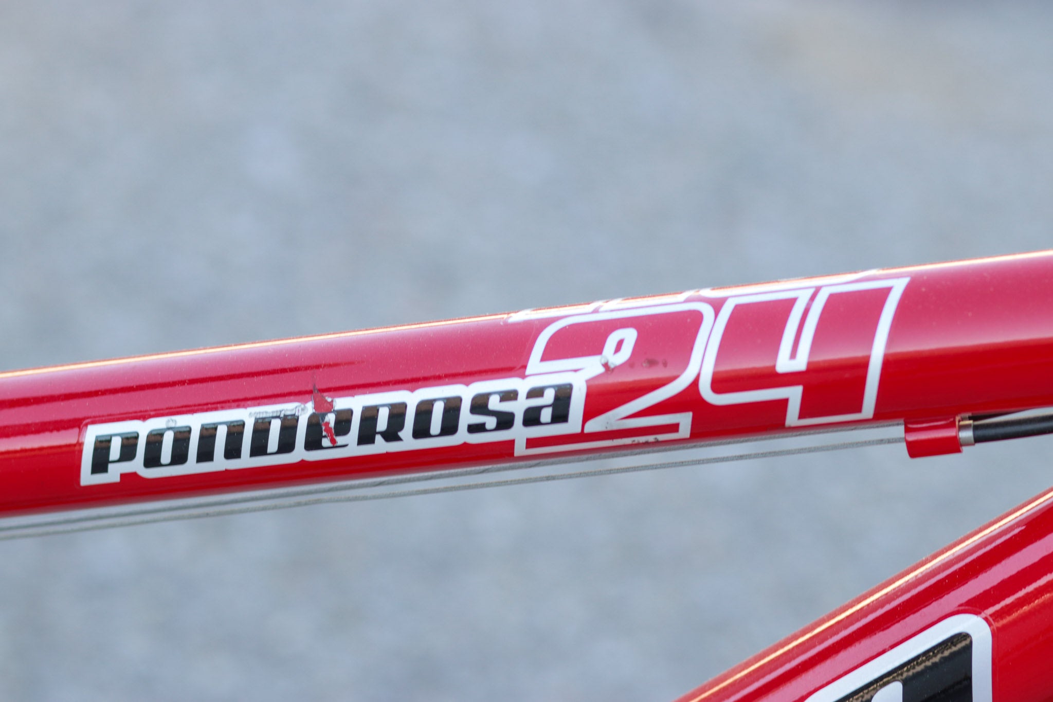 Novara Ponderosa 24 Kid s Bike with Spinner Front Fork red BIAH