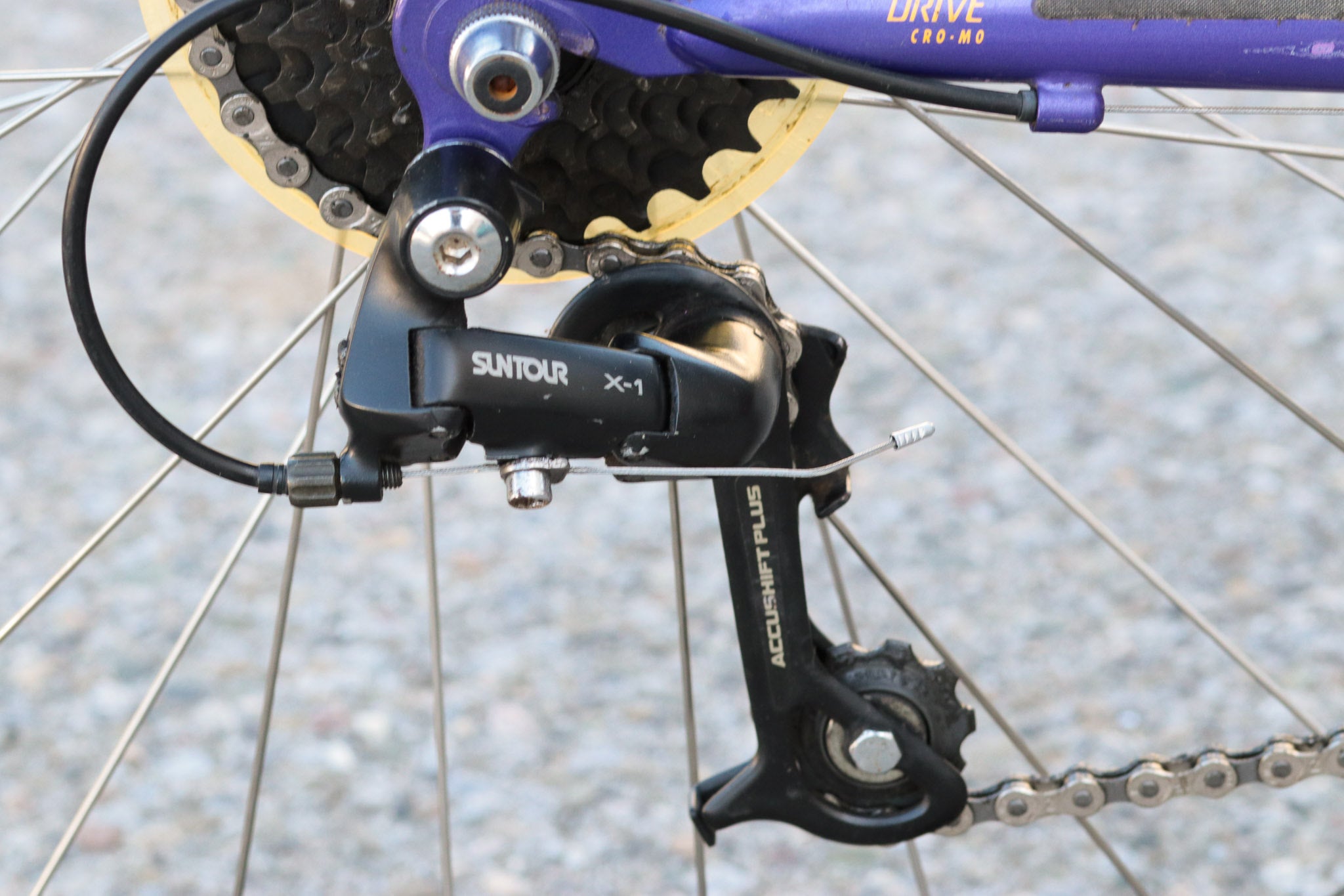 Rockhopper x1 new arrivals