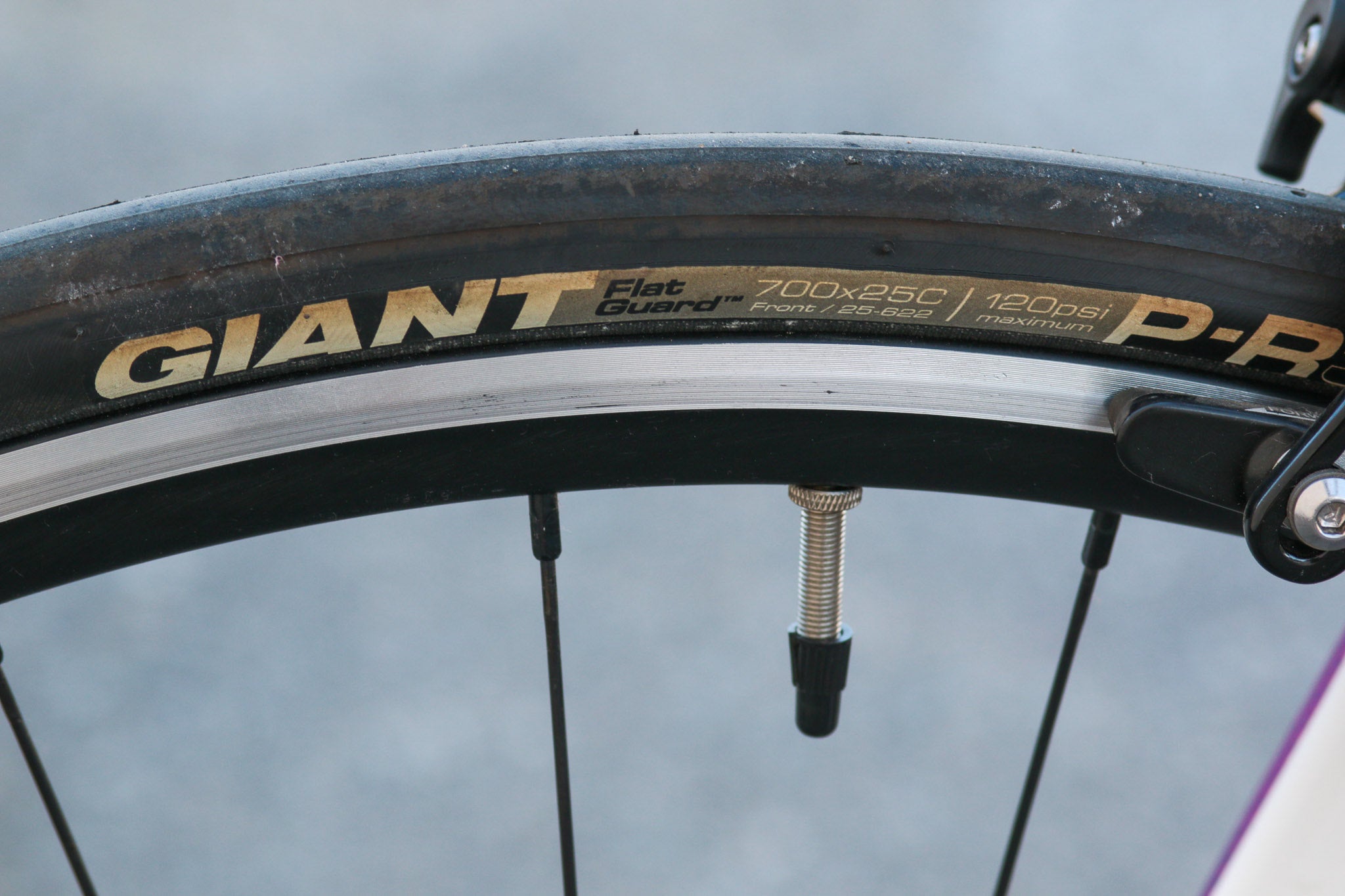 Giant clearance pr3 tires