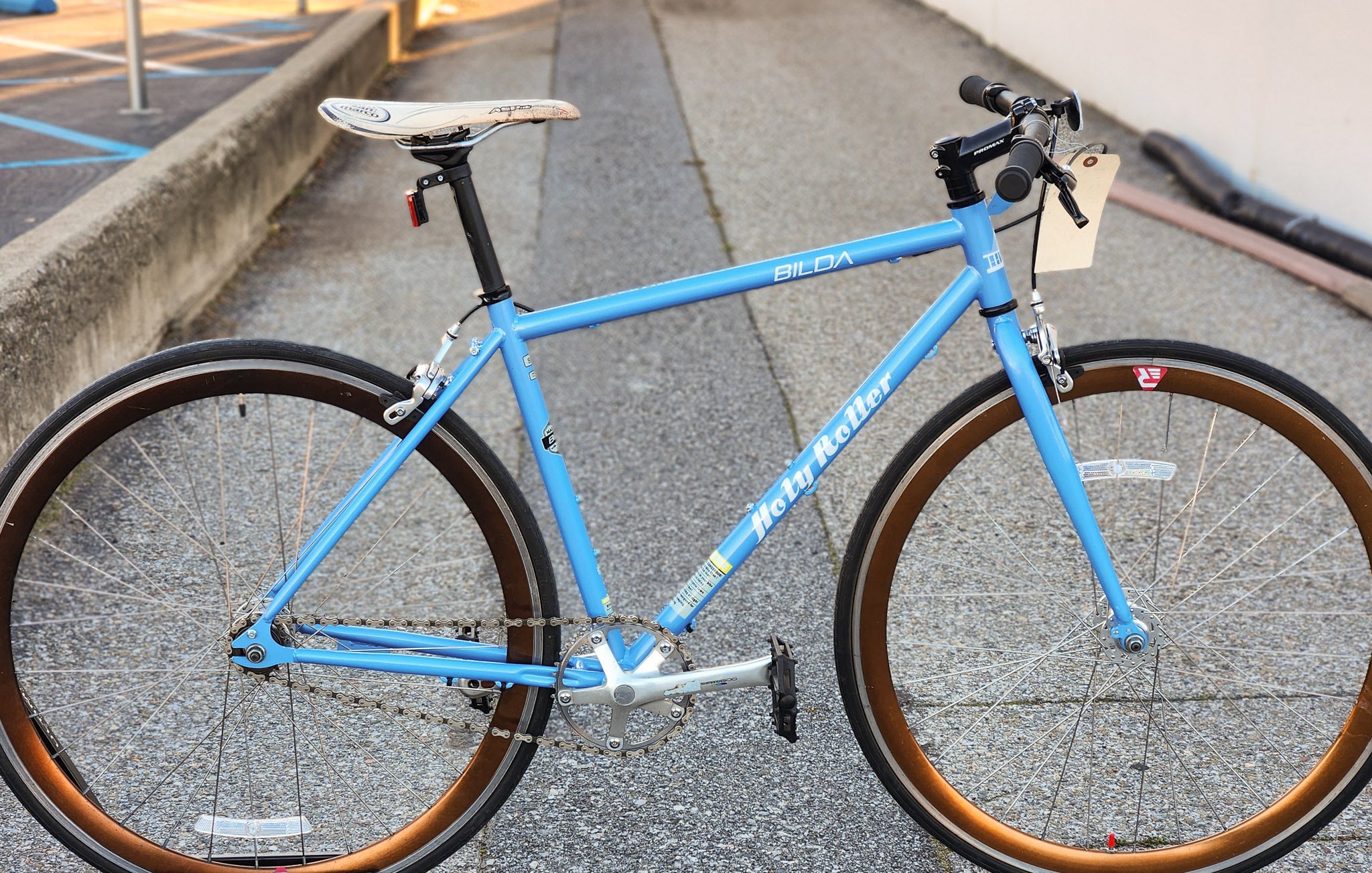 Bilda Holy Roller Townie Cruiser Singlespeed / Fixie New Frame and