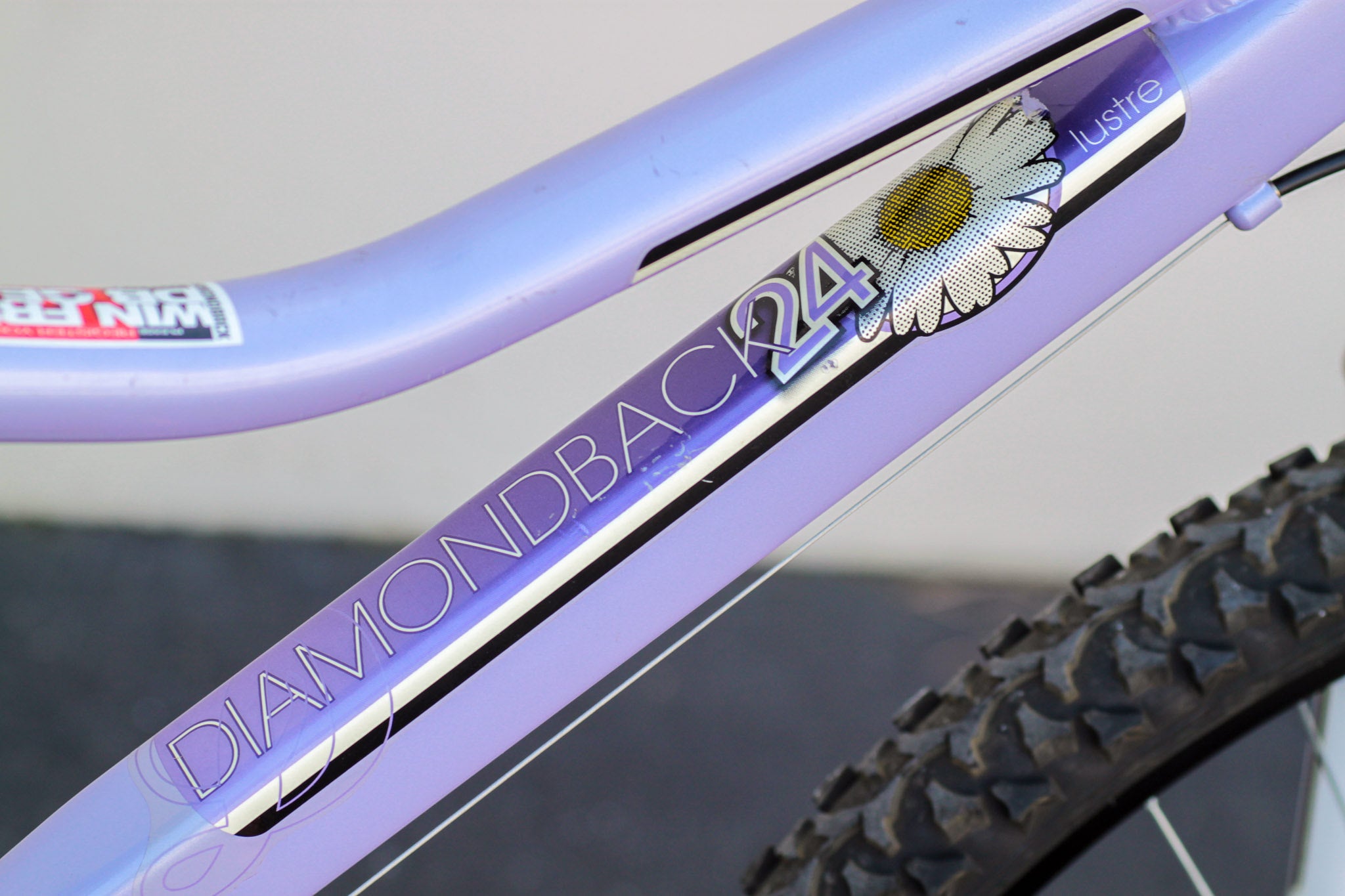 Diamondback lustre 24 deals