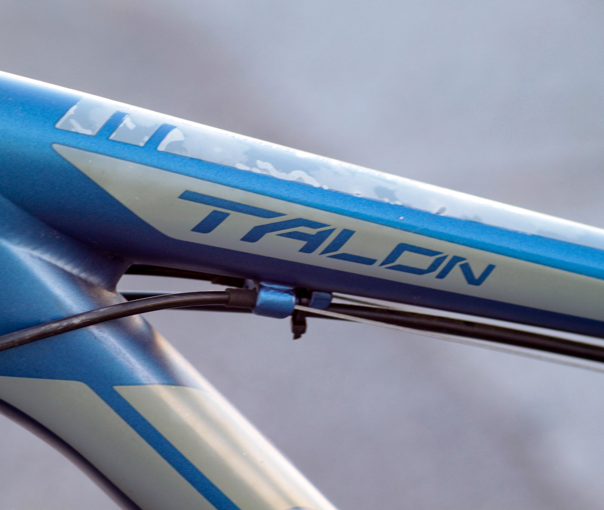 Giant aluxx 6000 blue book best sale