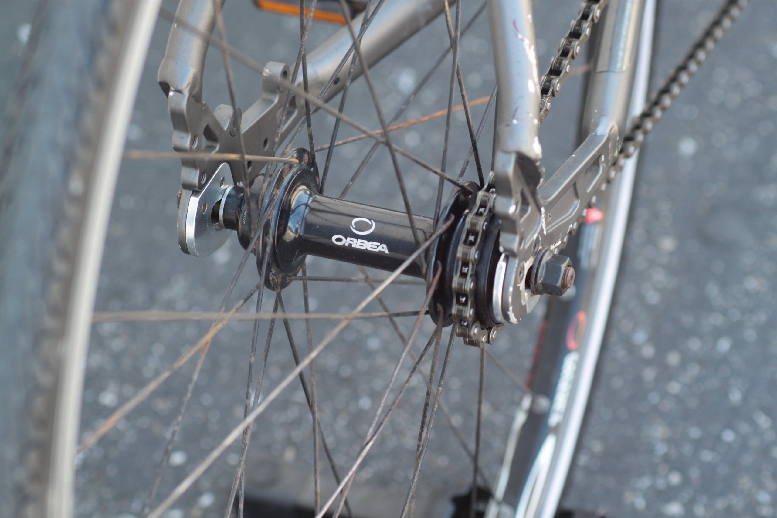 Orbea fixed gear 2025