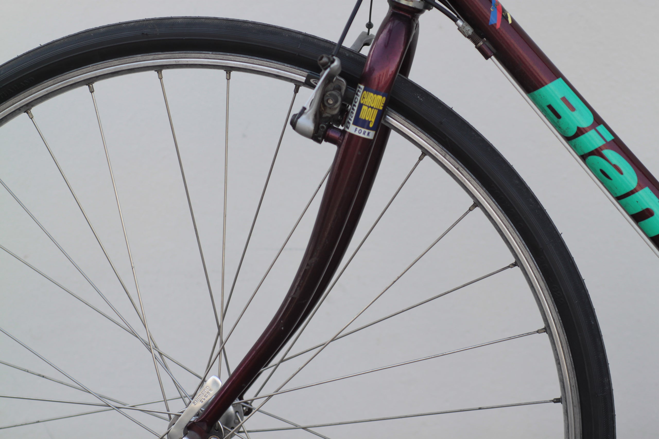 Vintage bianchi touring bike online