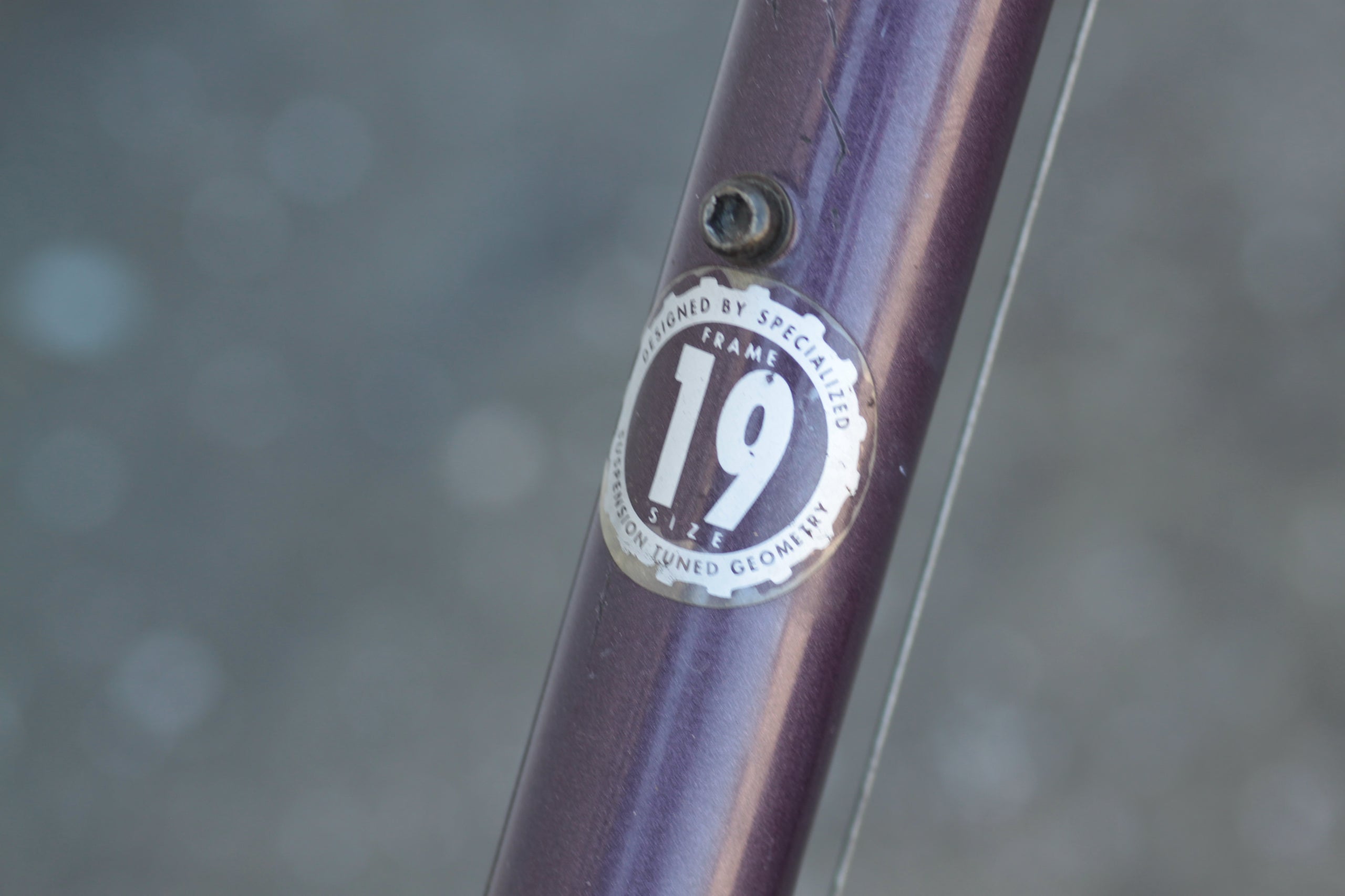 Specialized RockHopper Vintage Steel Hardtail MTB with RockShox Mag Fork 19 purple YEQV Used Bikes for Sale Silicon Valley Bicycle Exchange Bay Area