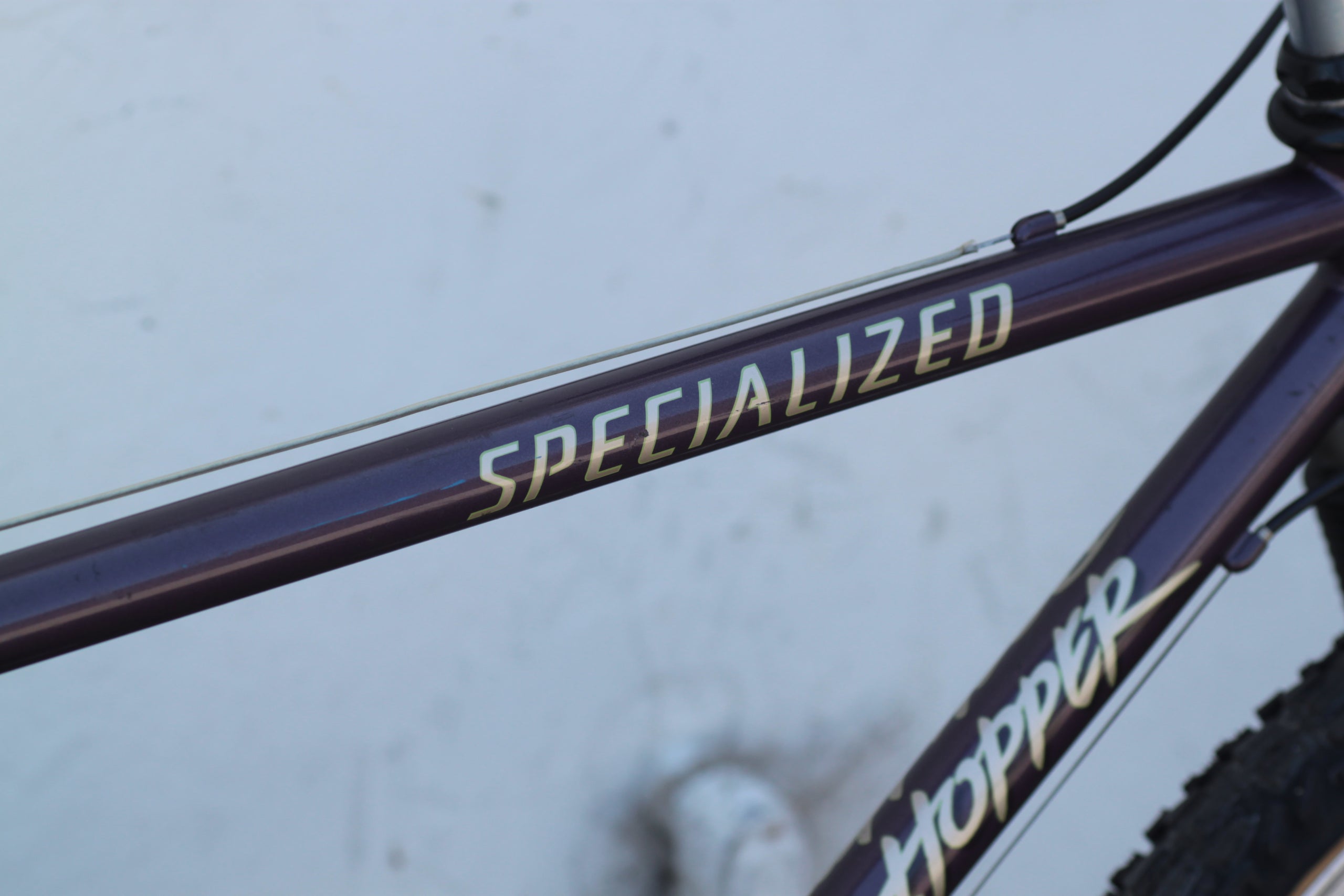 Specialized RockHopper Vintage Steel Hardtail MTB with RockShox Mag Fork 19 purple YEQV Used Bikes for Sale Silicon Valley Bicycle Exchange Bay Area